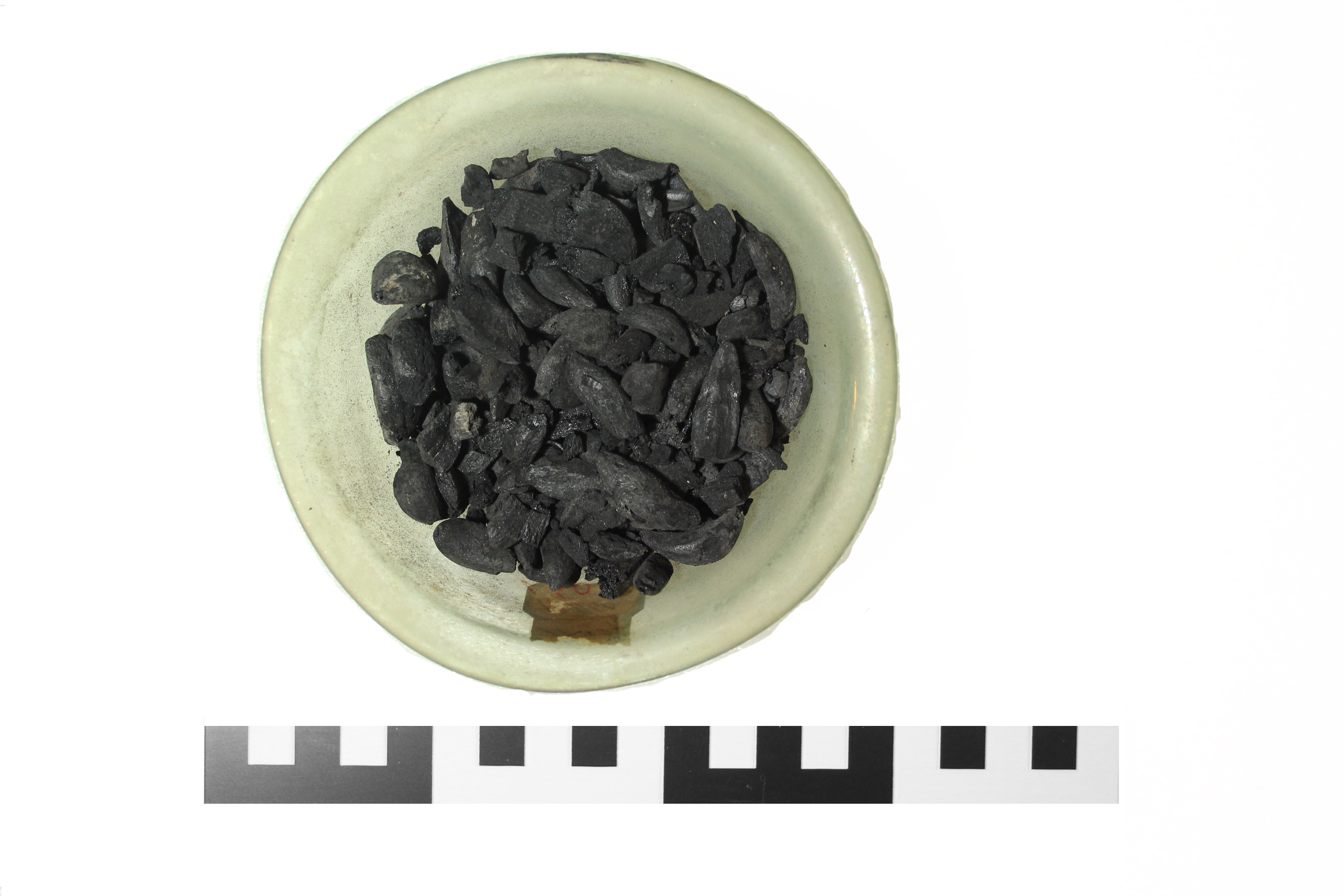 Carporesto, Bulbo (79 d.C)