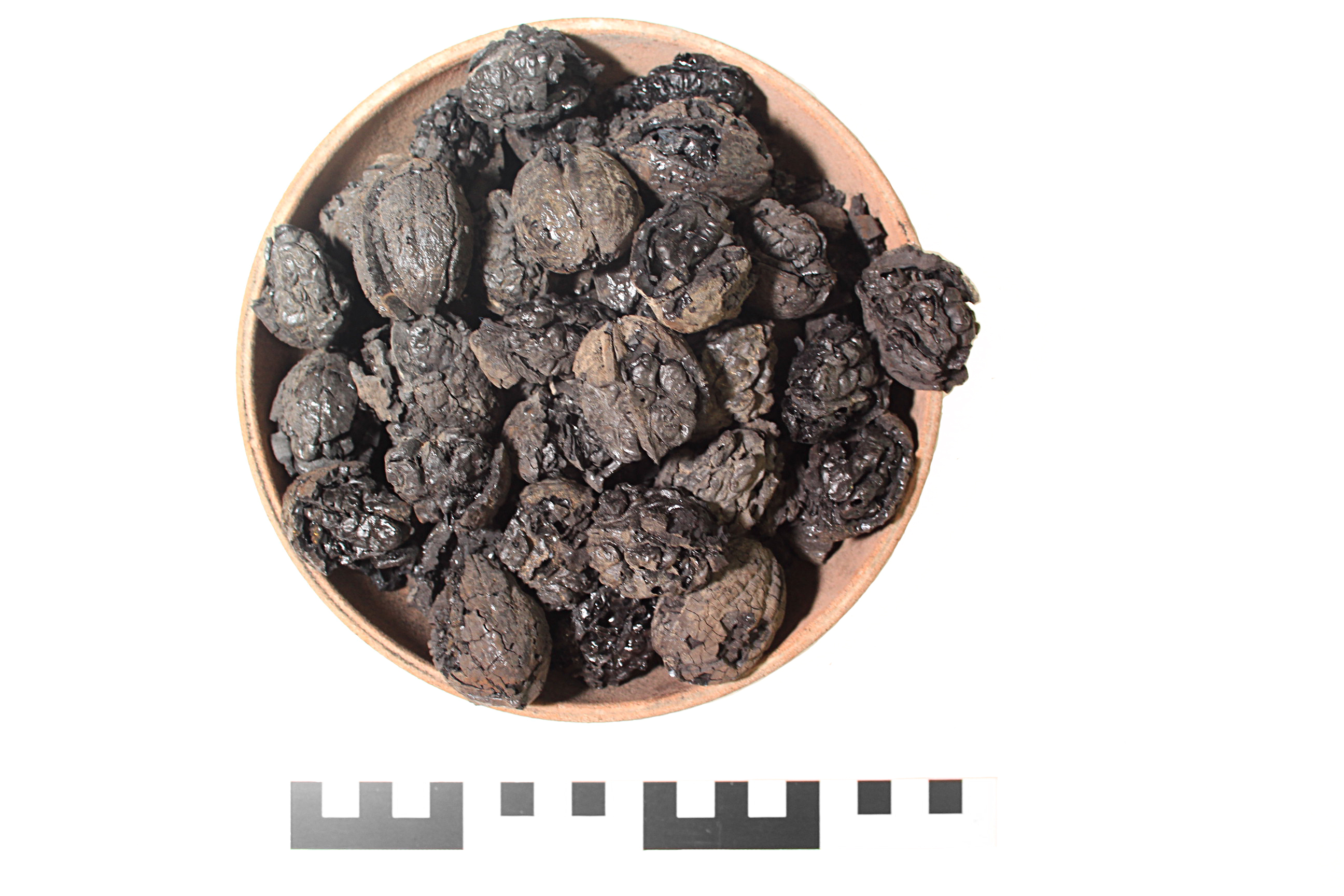 Carporesto, Noce (79 d.C)