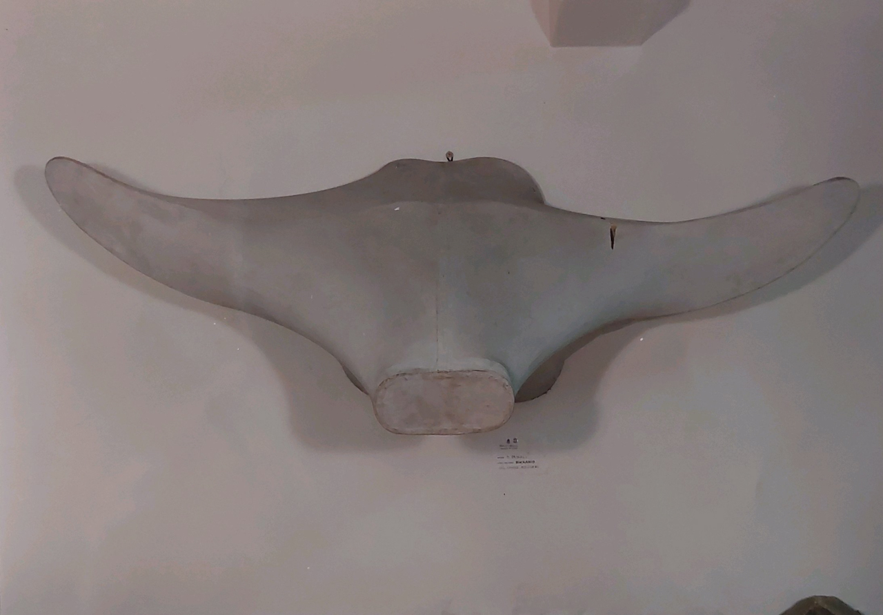 Bucranio (opera polimaterica) di Pascali Pino (XX)