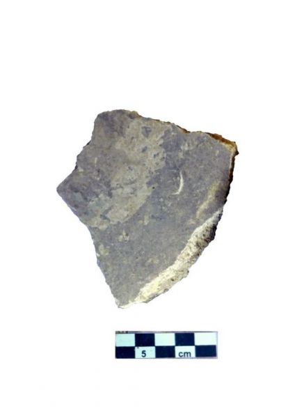 SINGOLO OGGETTO/ frammento, non determinabile