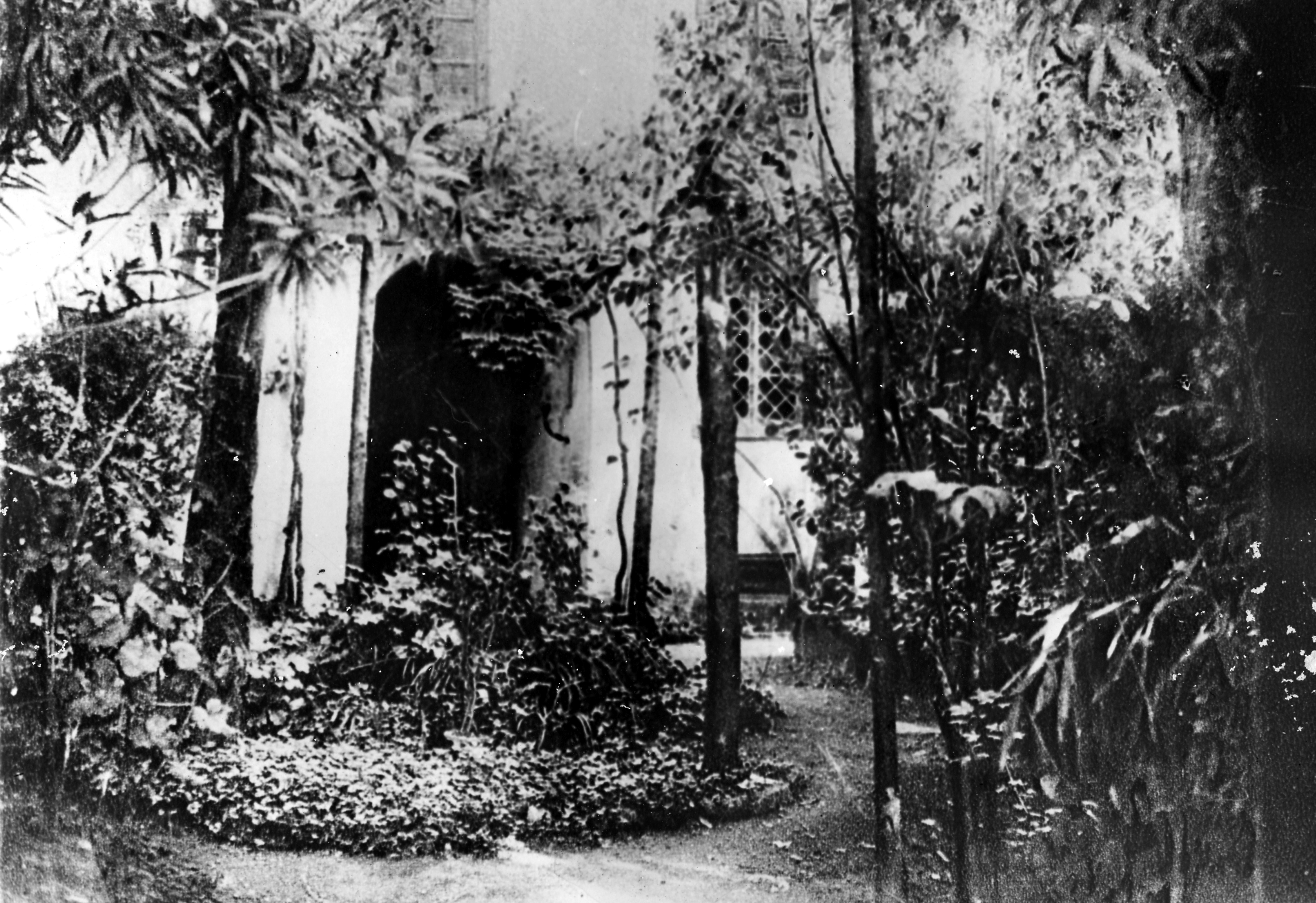 Castelvecchio Pascoli - Casa Pascoli - Giardino (unicum) di Anonimo (seconda metà XIX)