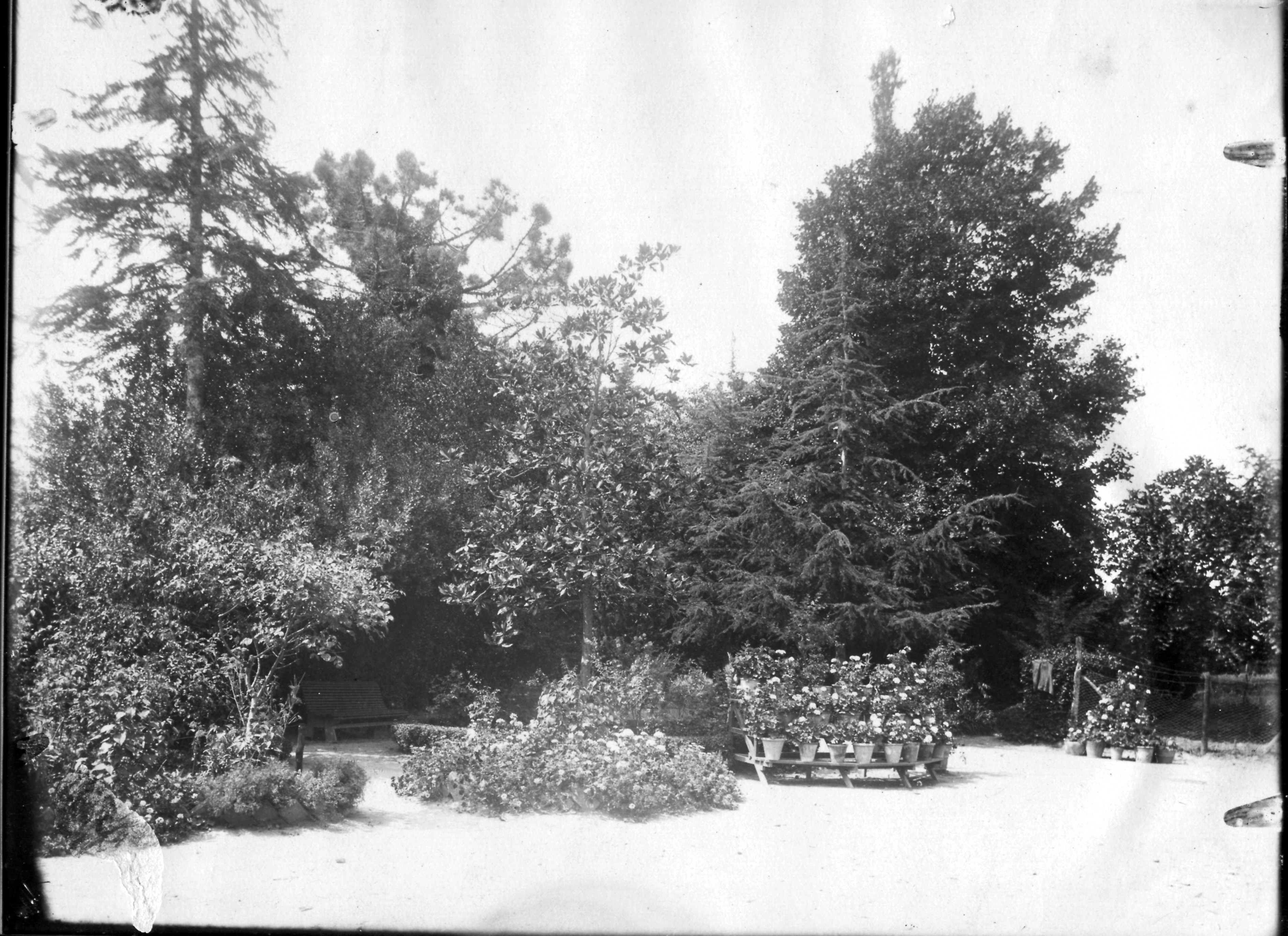 da compilare (unicum) di Anonimo (inizio XX)