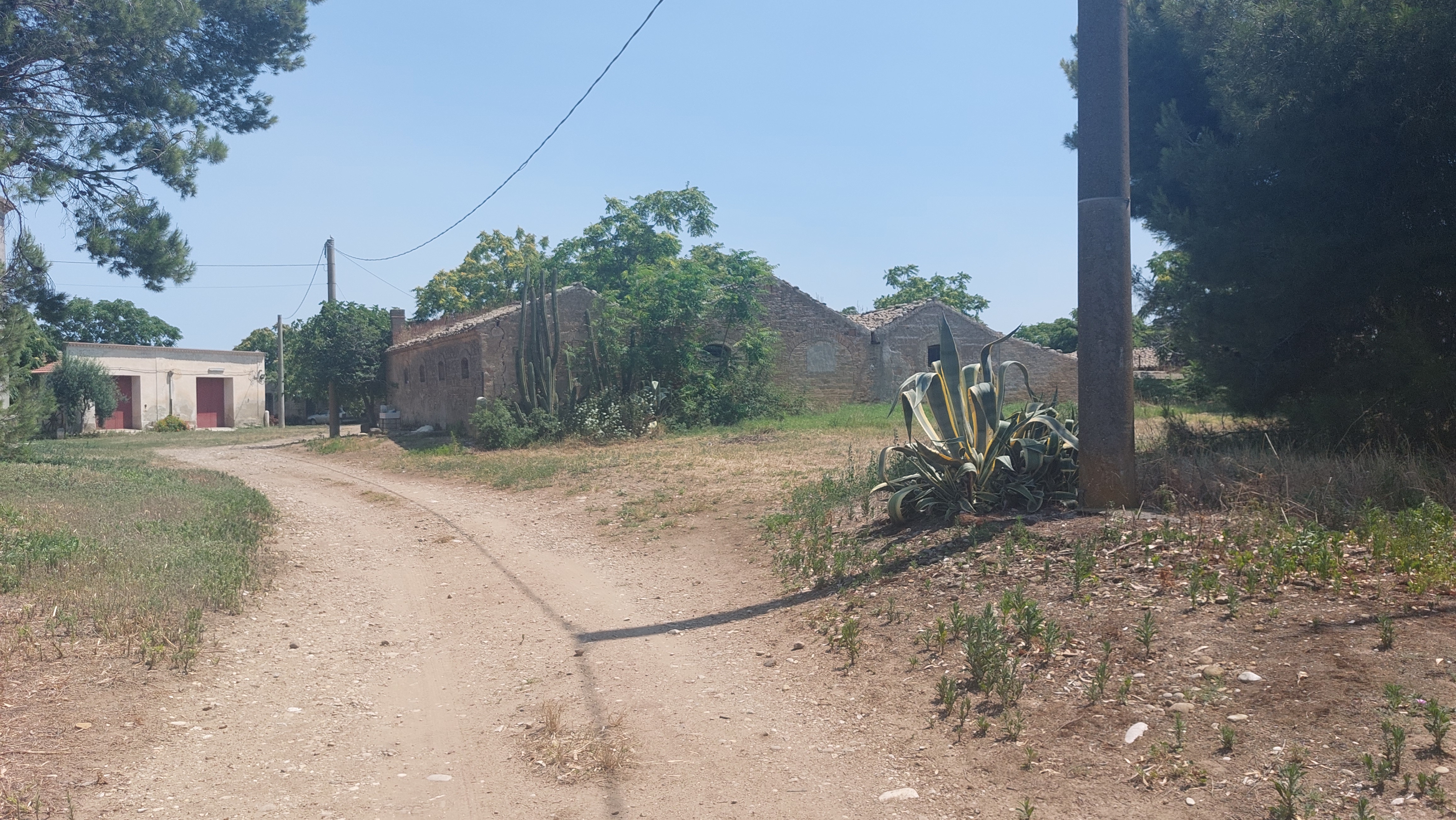 Chiesa presso la Masseria Conte di Noia (chiesa, rurale) - Ascoli Satriano (FG) 