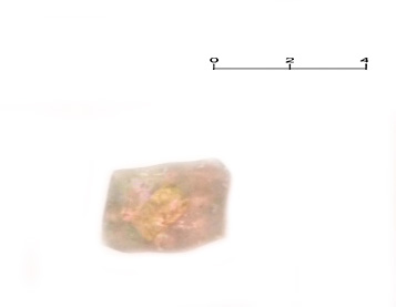 SINGOLO OGGETTO/ bicchiere, SECOLI/ XV