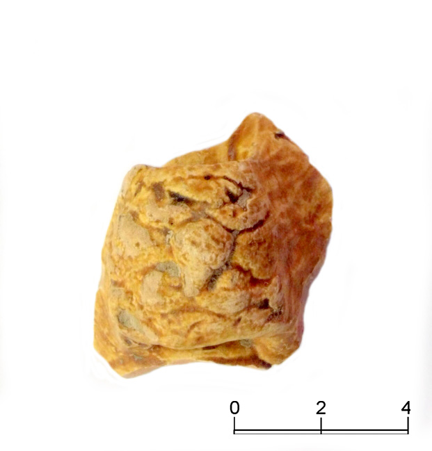 SINGOLO OGGETTO/ fiasca, SECOLI/ XVI, SECOLI/ XVII