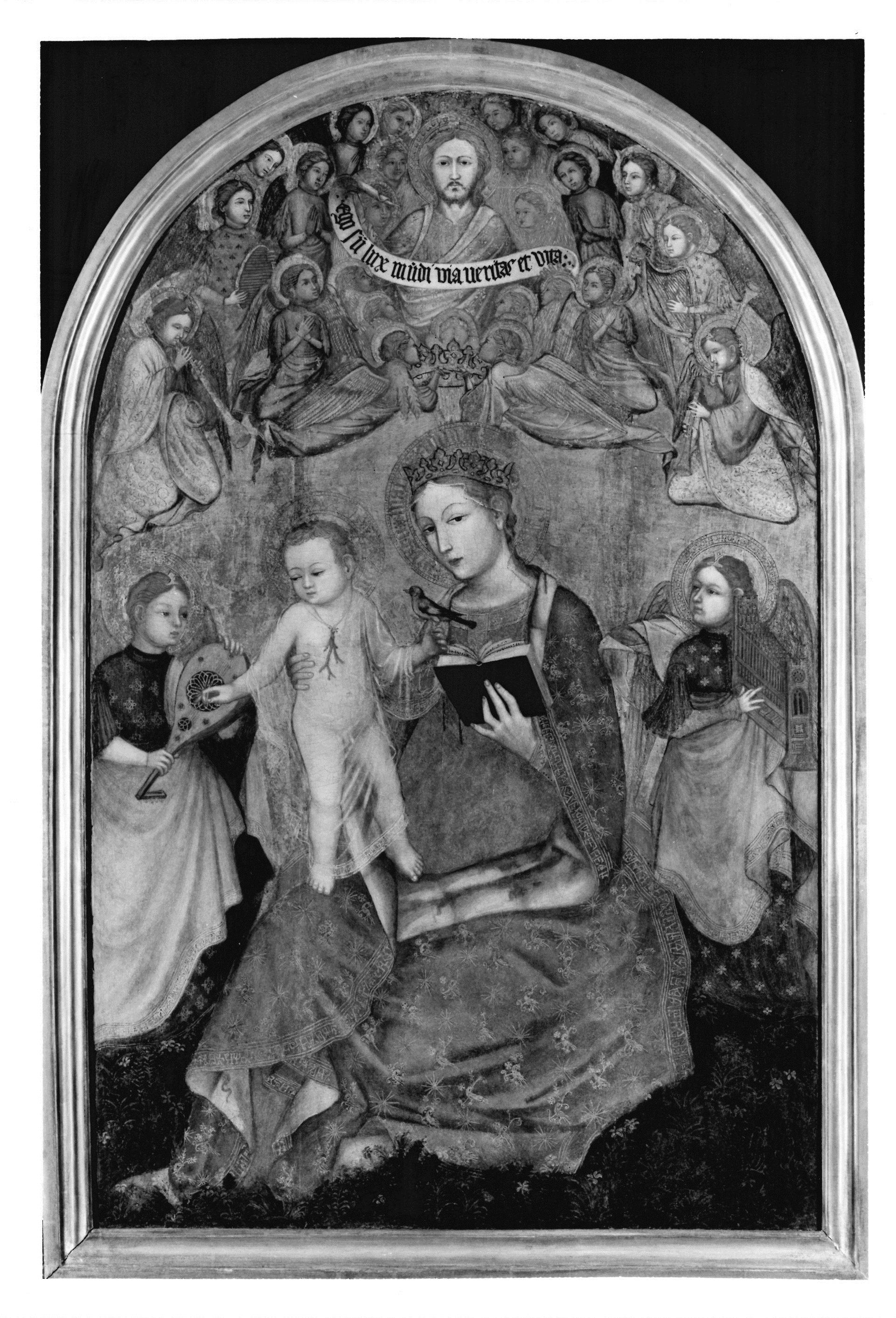 Madonna dell'umiltà fra due angeli musicanti con l'Eterno in gloria (dipinto, opera isolata) di Di Martino Nelli Ottaviano (sec. XV)