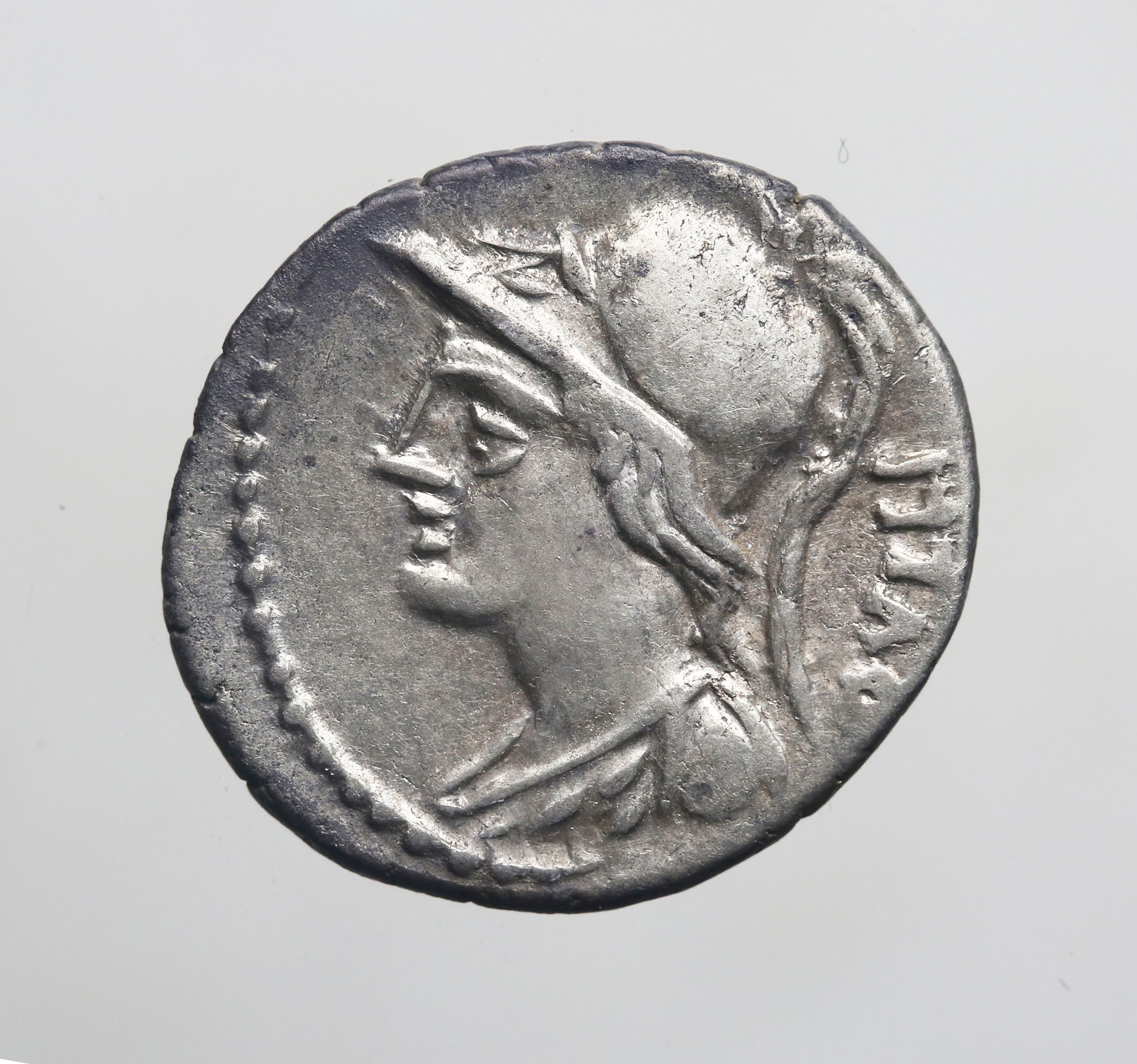 moneta - Denario (PERIODIZZAZIONI/ STORIA/ Età antica/ Età romana/ Età romana repubblicana)