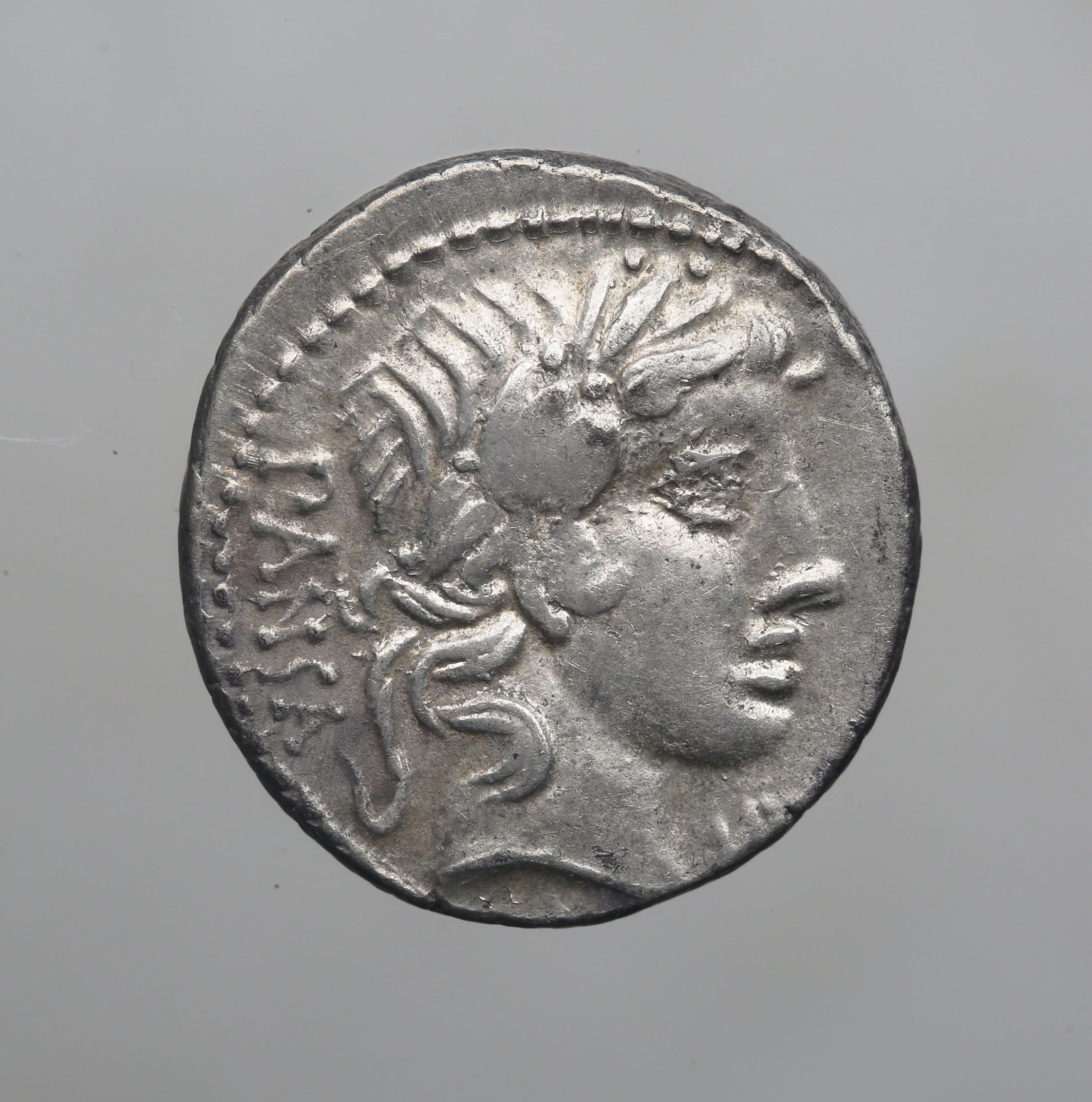 moneta - Denario (PERIODIZZAZIONI/ STORIA/ Età antica/ Età romana/ Età romana repubblicana)