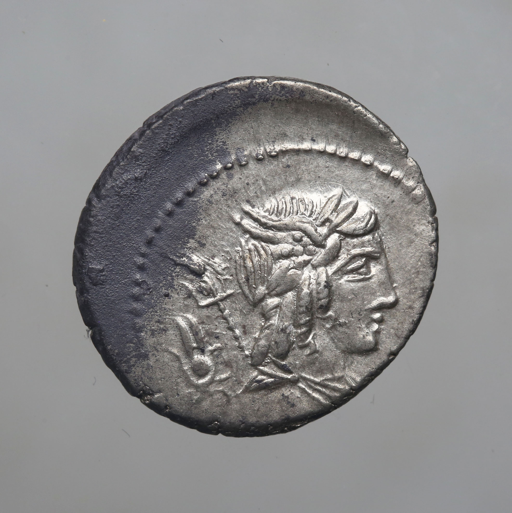 moneta - Denario (PERIODIZZAZIONI/ STORIA/ Età antica/ Età romana/ Età romana repubblicana)