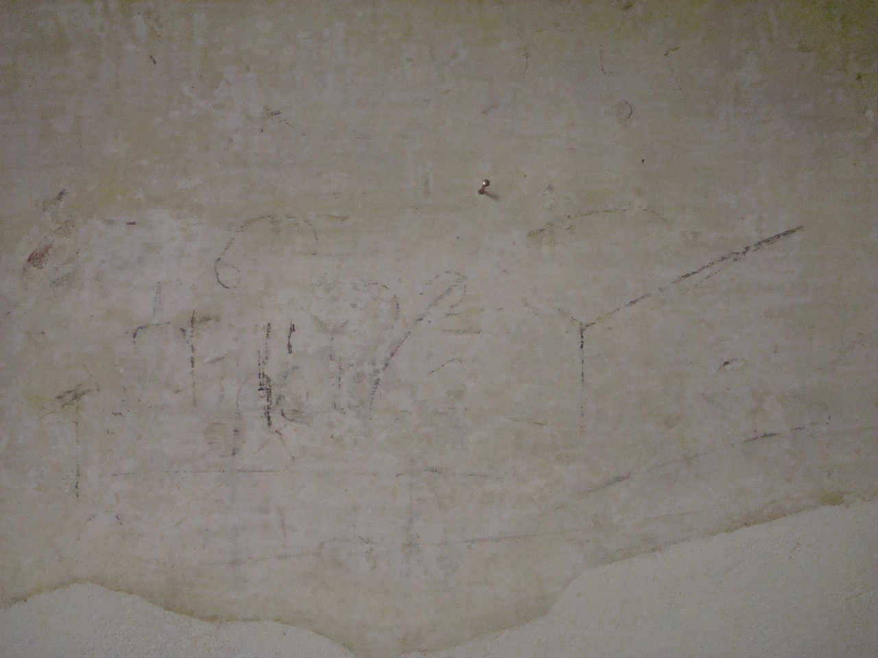 disegno murale - ambito toscano (prima metà sec. XVII)
