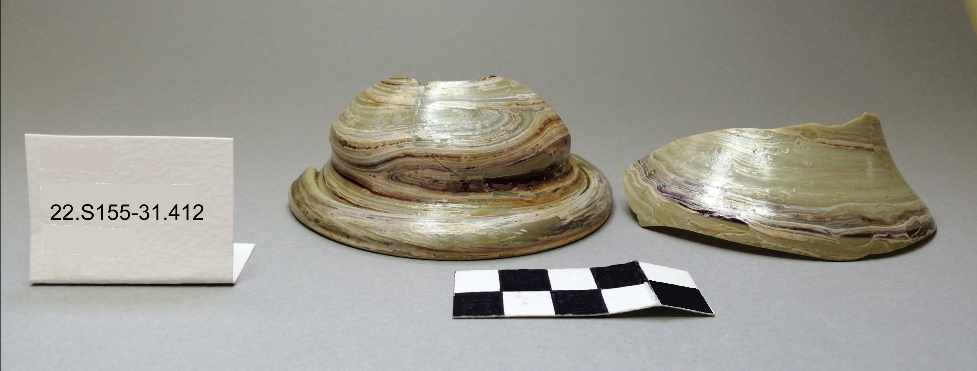 SINGOLO OGGETTO/ coppa, SECOLI/ I