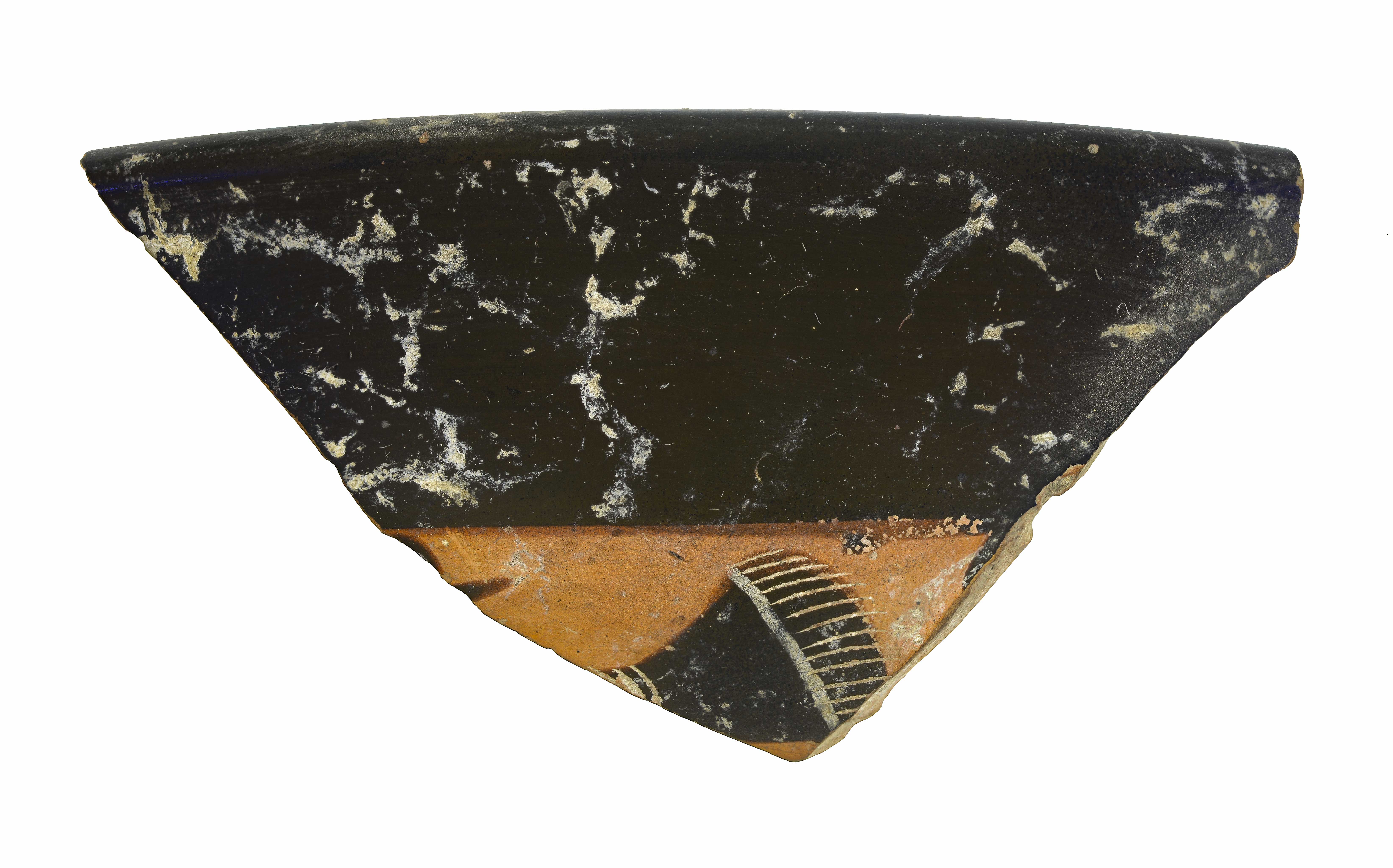 SINGOLO OGGETTO/ kylix, SECOLI/ VI a.C