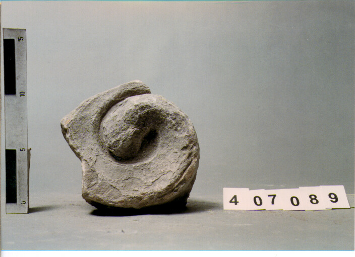 CAPITELLO IONICO DI LESENA (SECC. III A.C. / IV D.C)