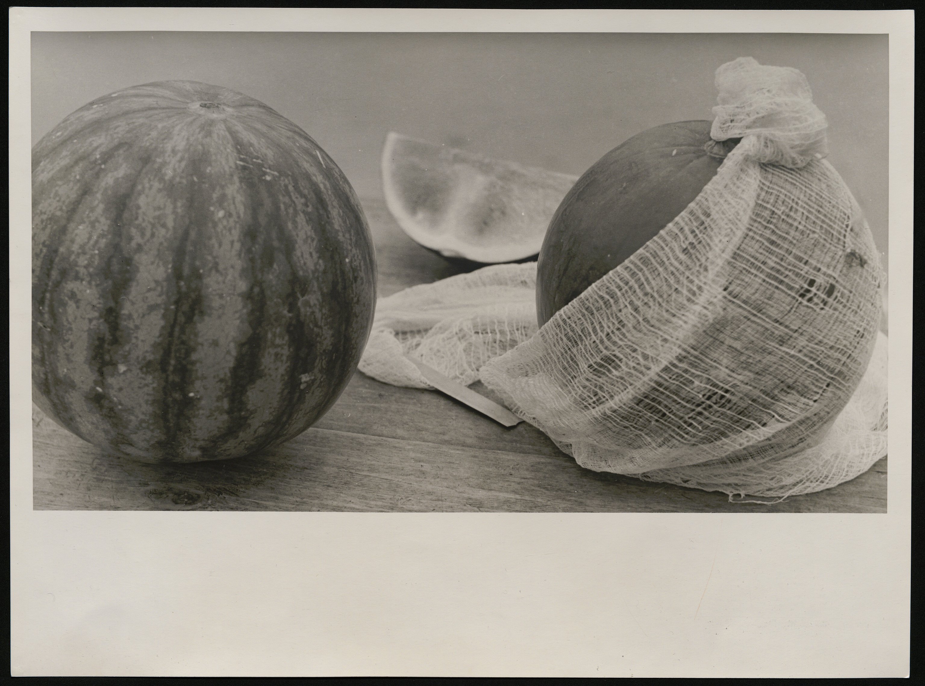 Frutti (positivo) di Balocchi, Vincenzo (seconda metà XX)