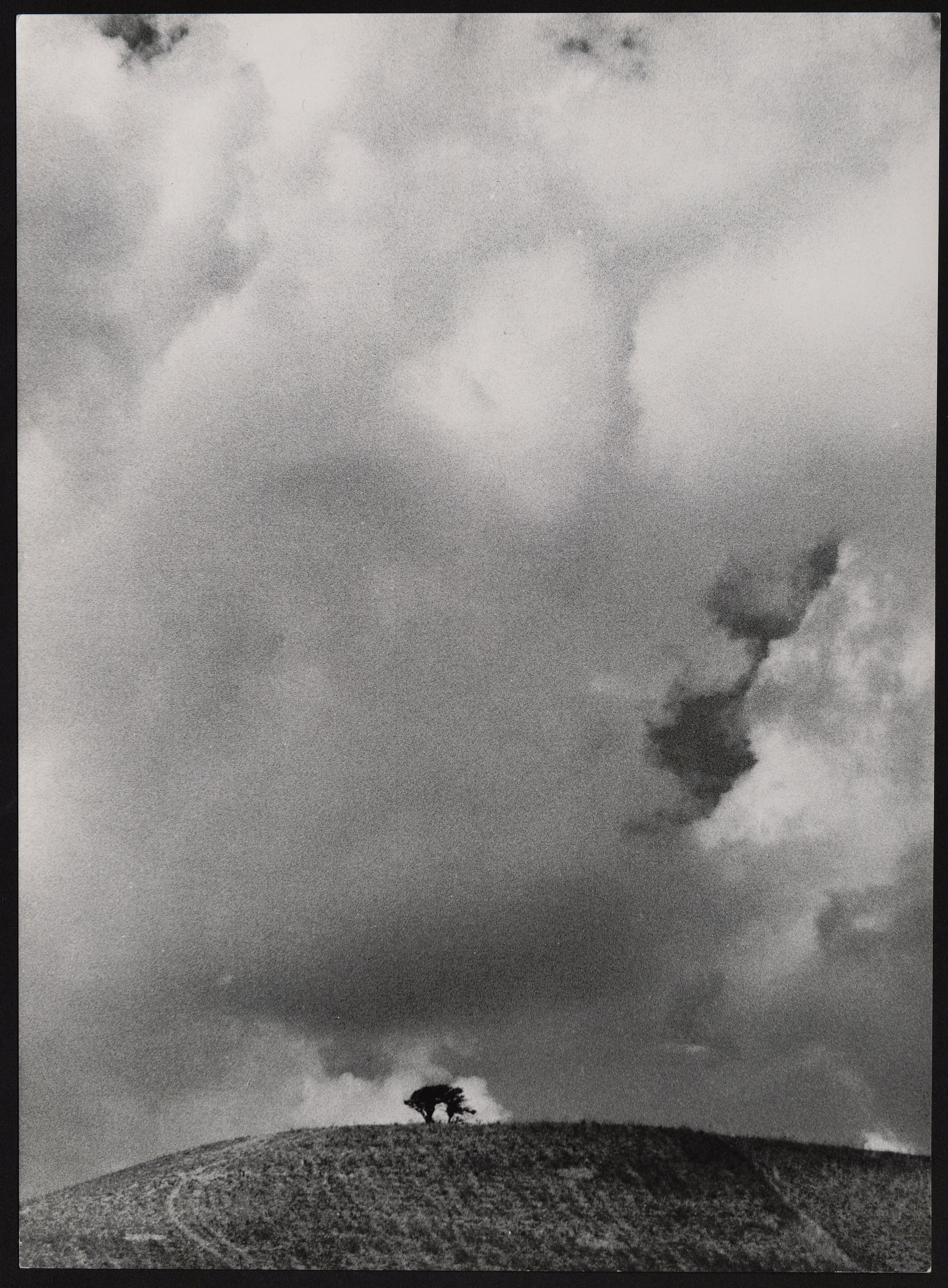 Paesaggi (positivo) di Balocchi, Vincenzo (prima metà XX)