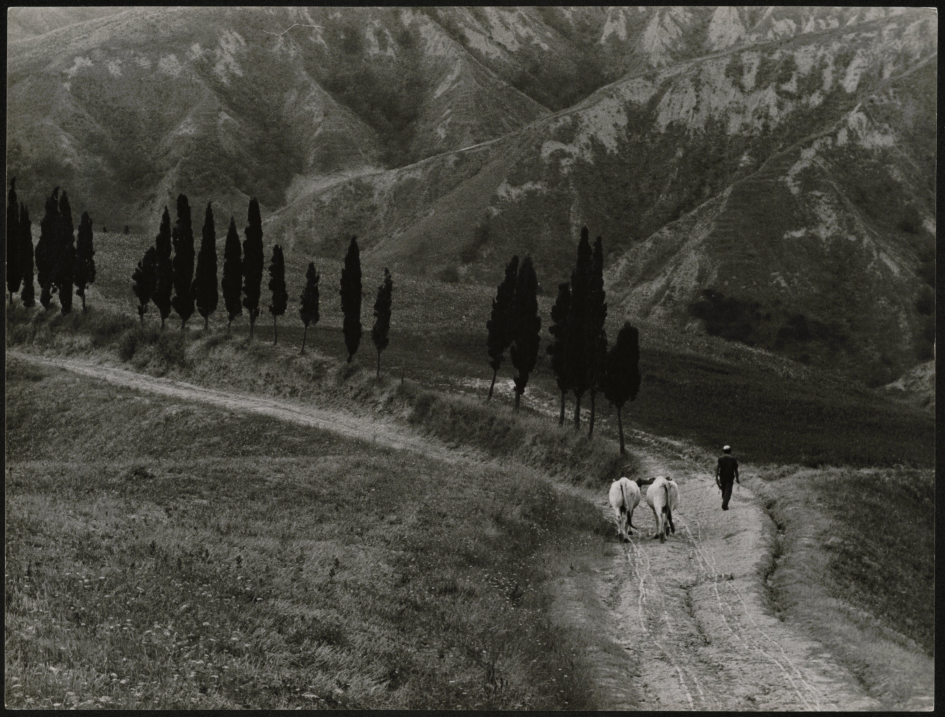 Paesaggio (positivo) di Balocchi, Vincenzo (seconda metà XX)