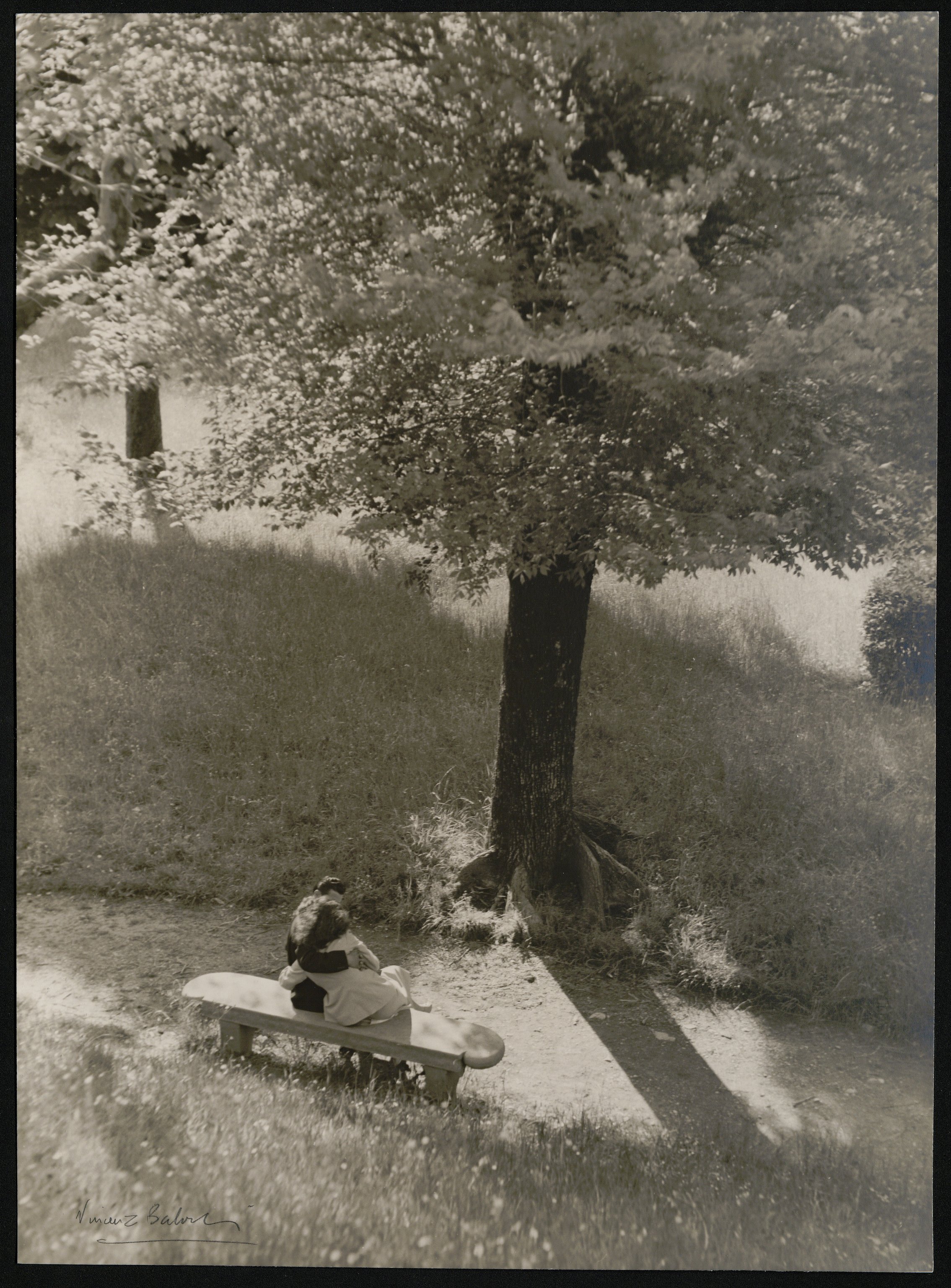 Coppie (positivo) di Balocchi, Vincenzo (prima metà XX)