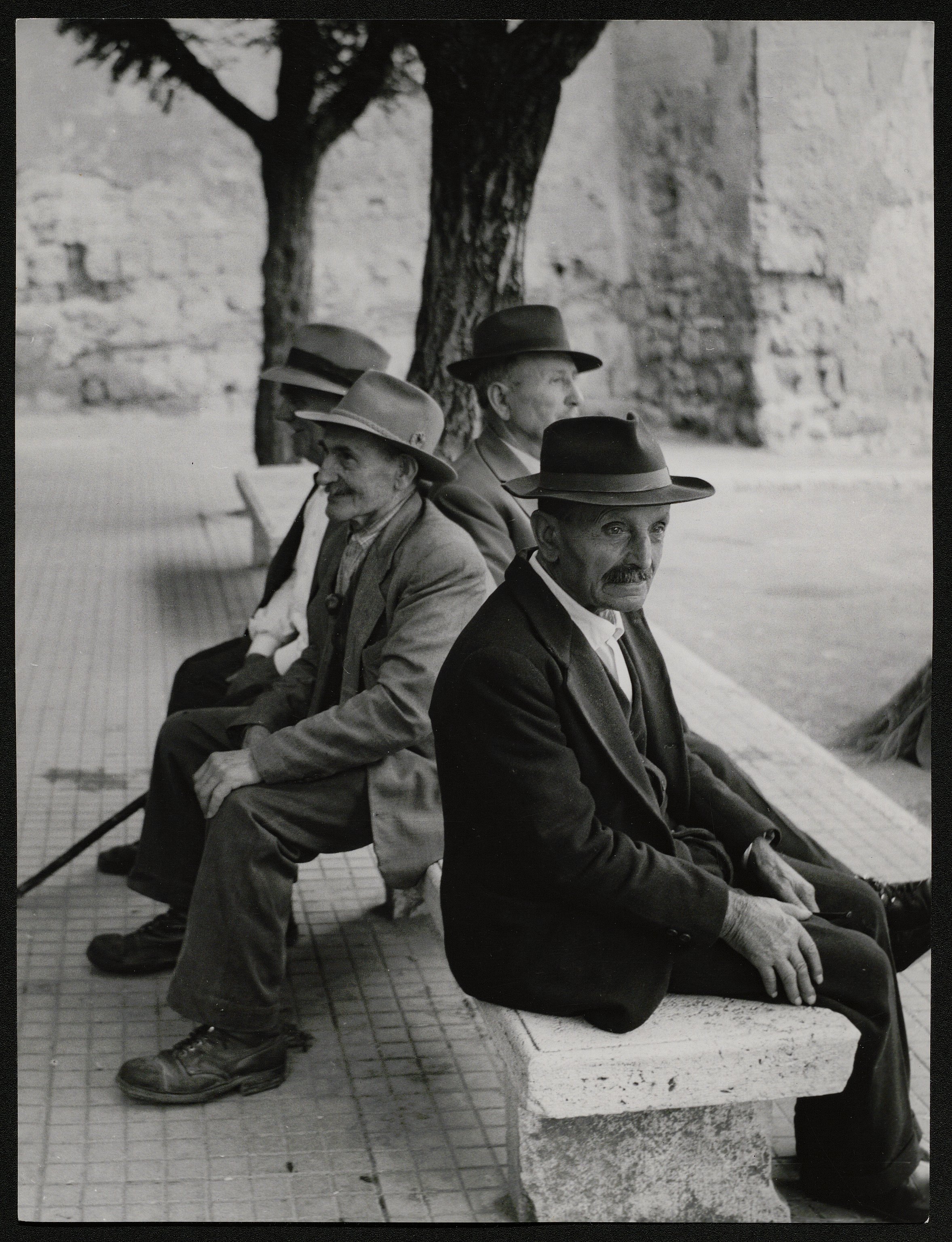 Panchine (positivo) di Balocchi, Vincenzo (seconda metà XX)