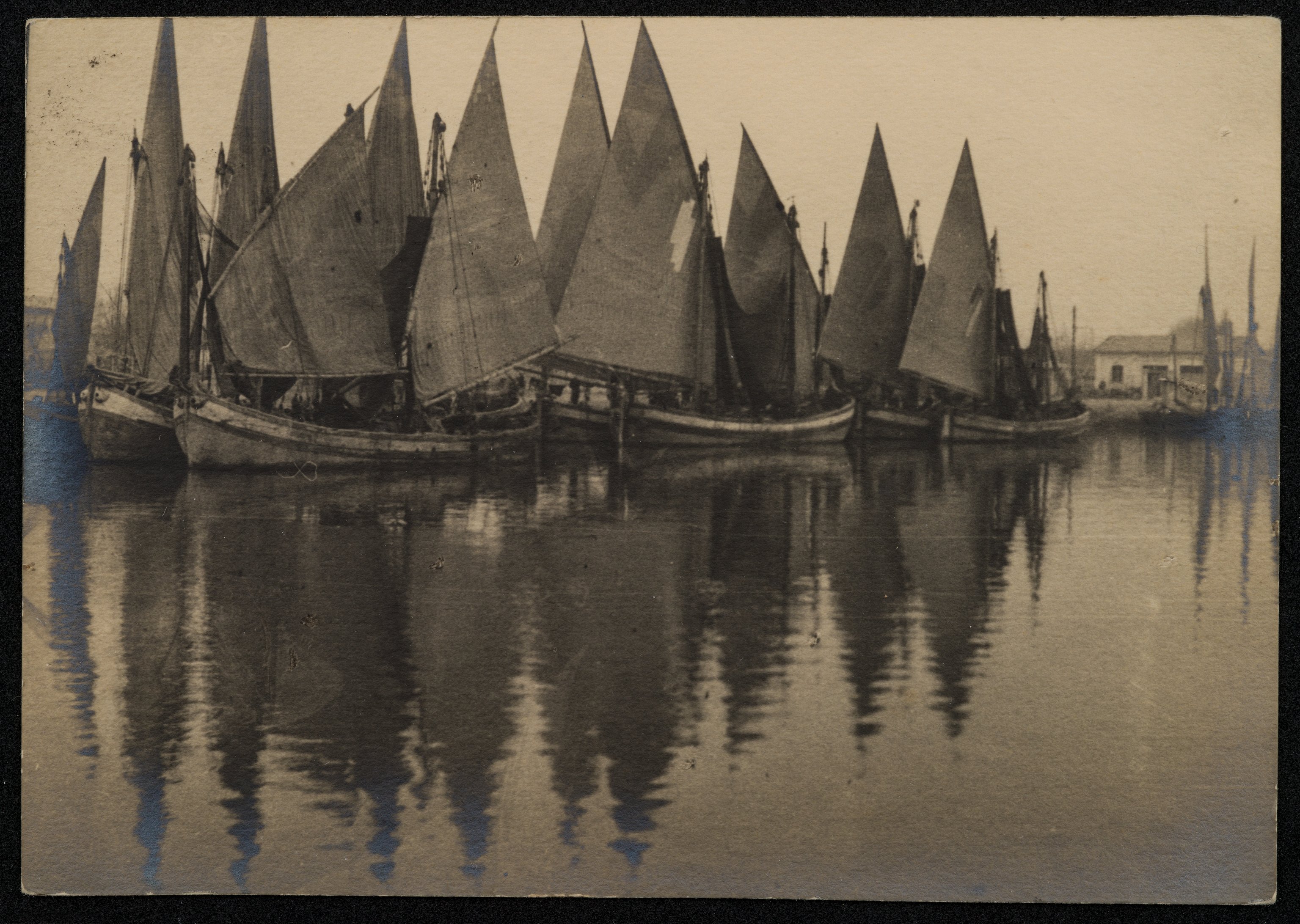 Barche a vela (positivo) di Pachò, Lodovico (prima metà XX)