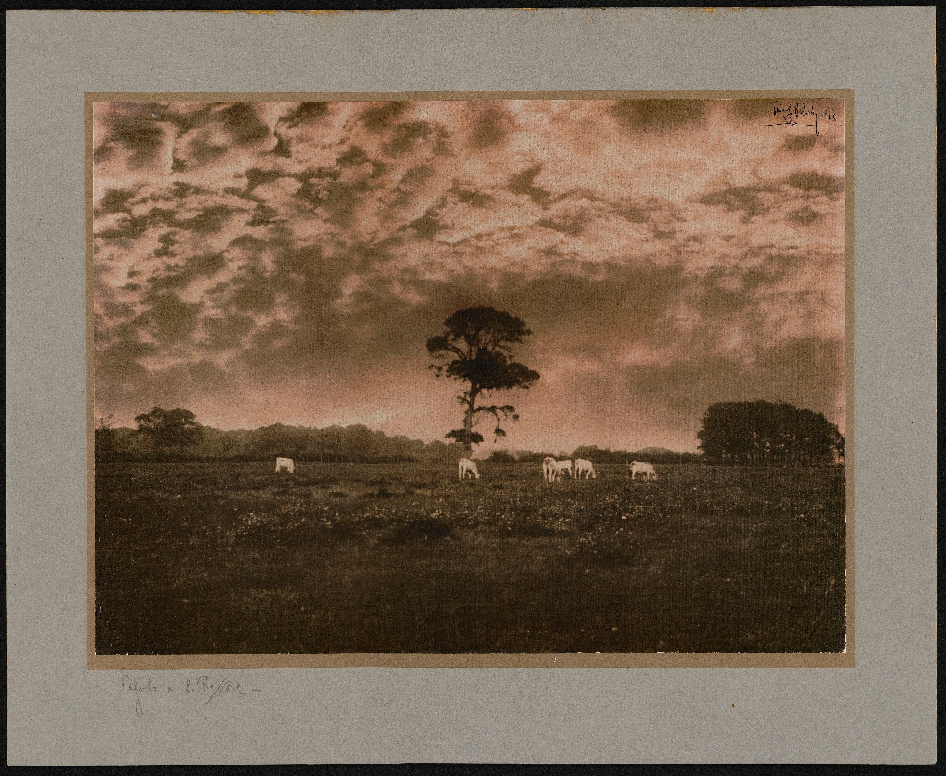 Paesaggio - Portofino (positivo) di Balocchi, Vincenzo (prima metà XX)