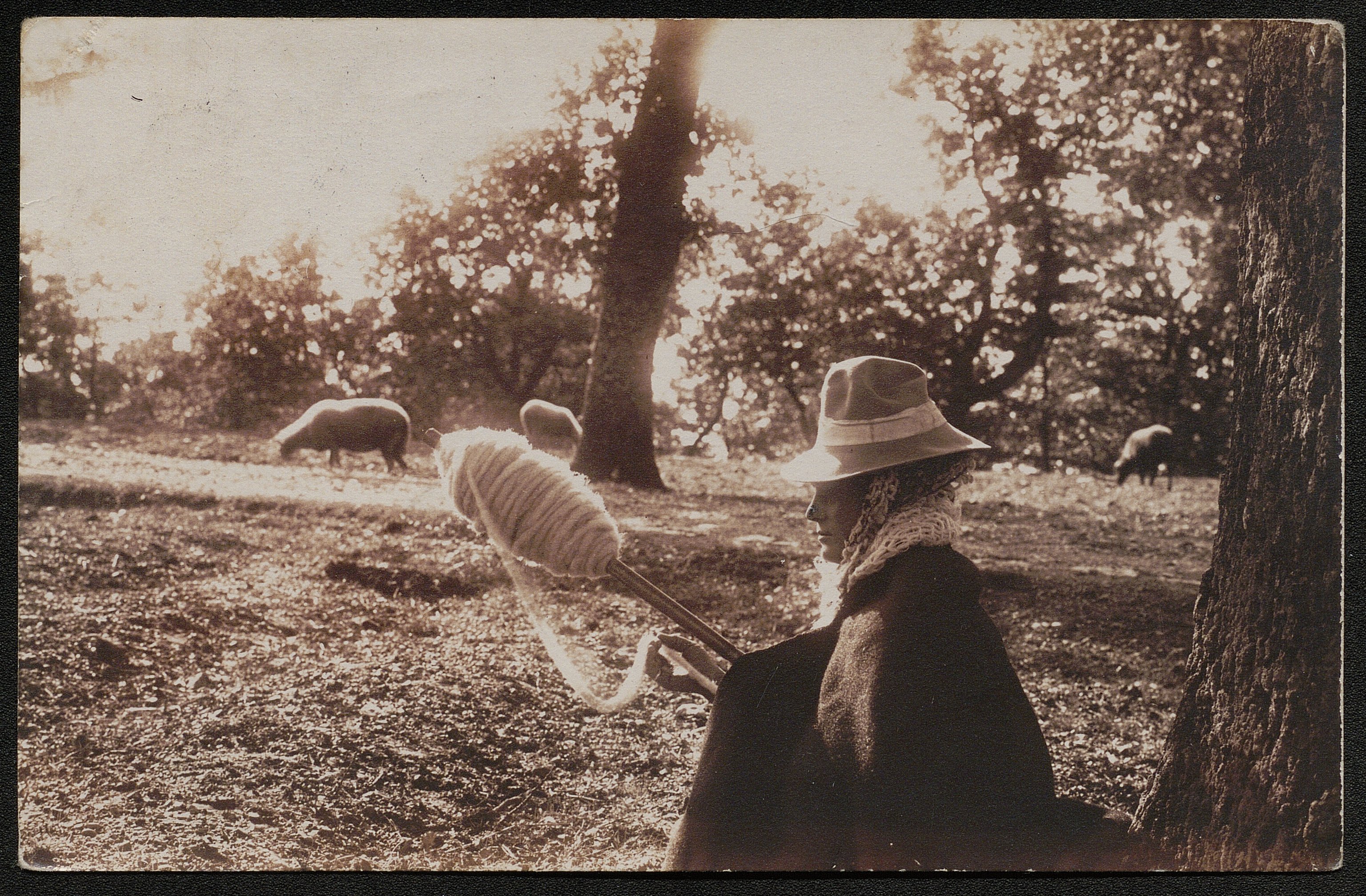 Donne - Ritratti (positivo) di Pachò, Lodovico (prima metà XX)