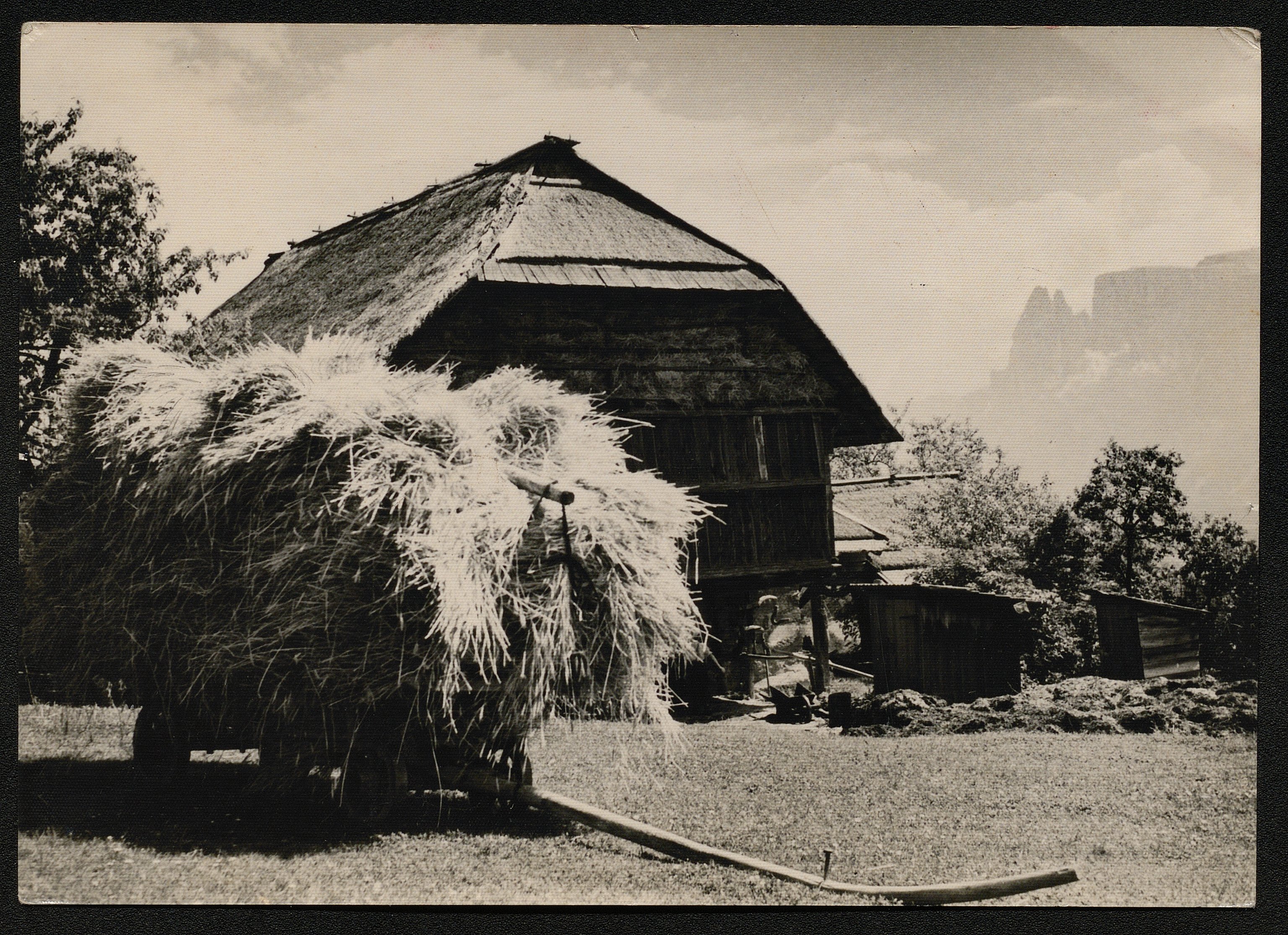 Montagne (positivo) di Pachò, Lodovico (prima metà XX)