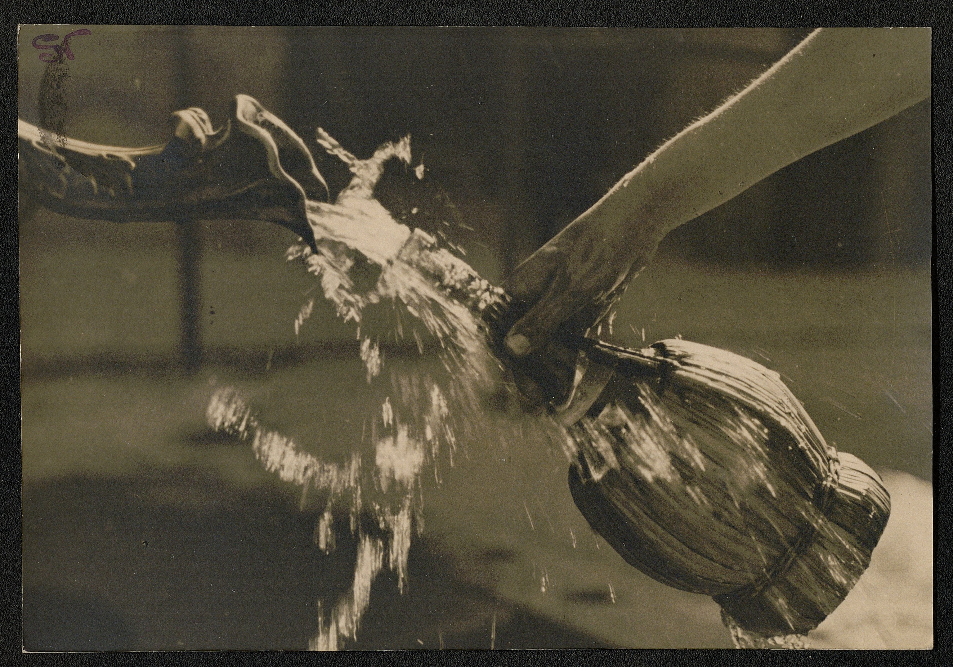 Bottiglie (positivo) di Nencioni, Giosuè (prima metà XX)