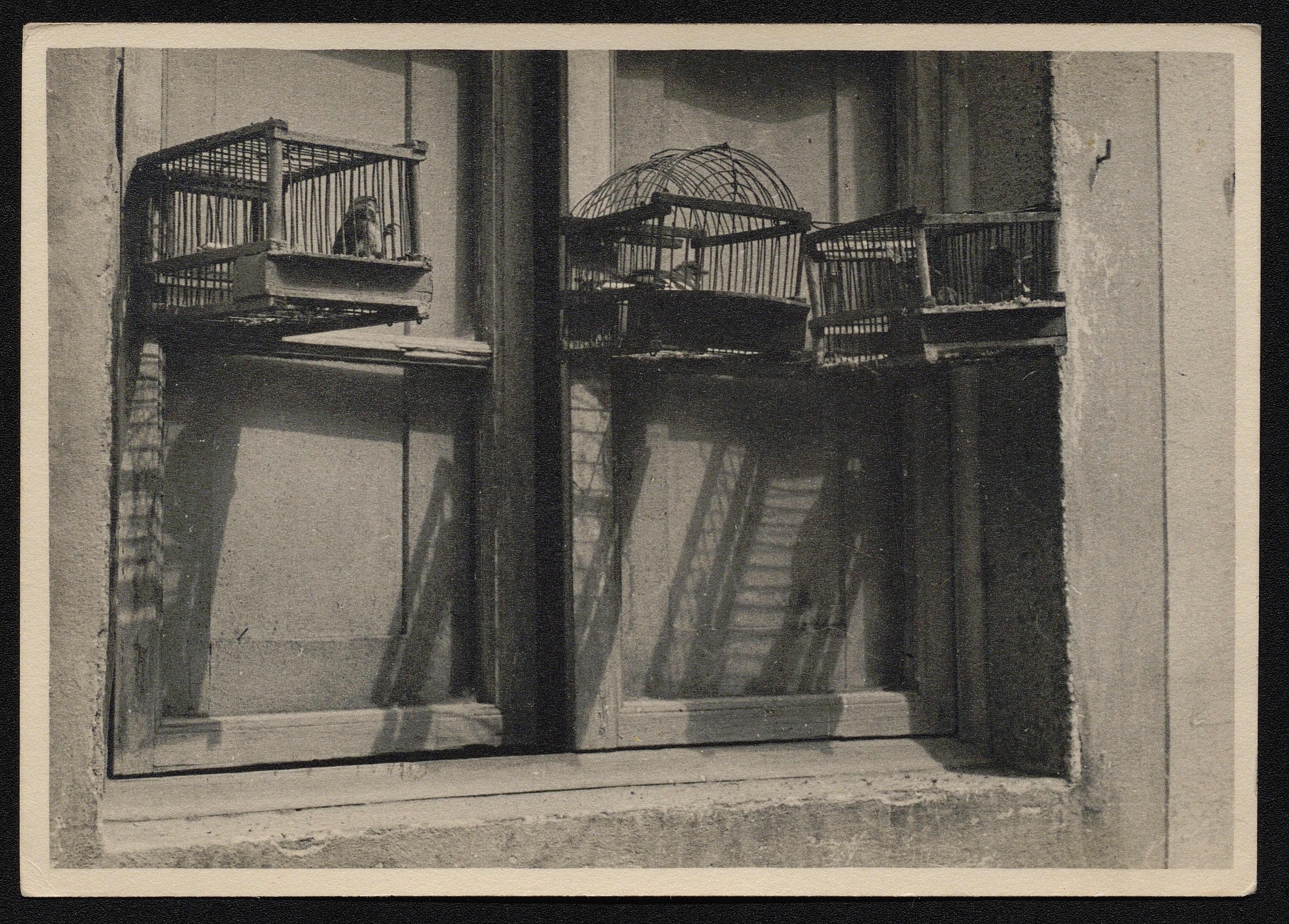 Gabbie (positivo) di Pachò, Lodovico (prima metà XX)