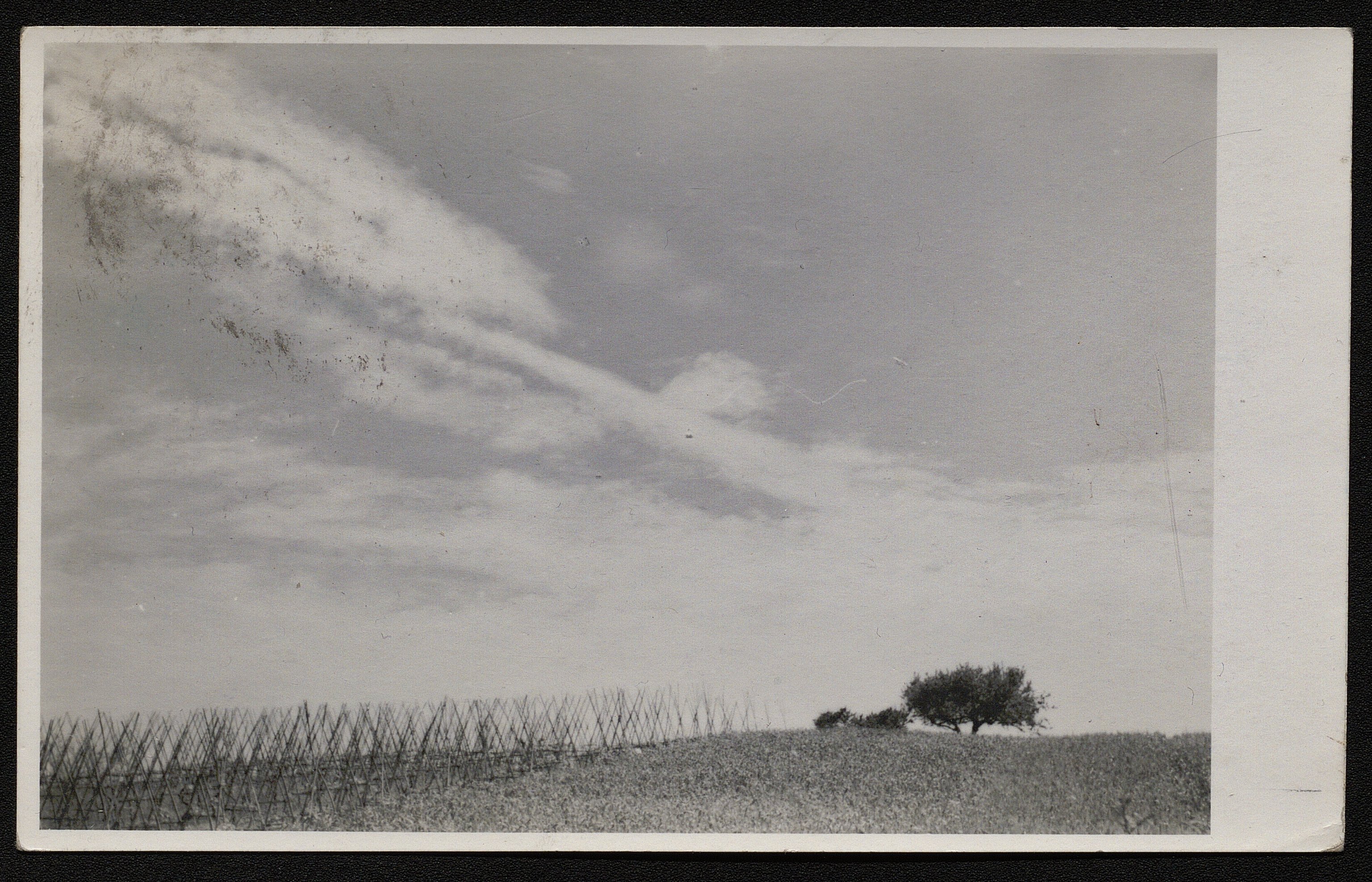 Paesaggio (positivo) di Cavalli, giuseppe (prima metà XX)