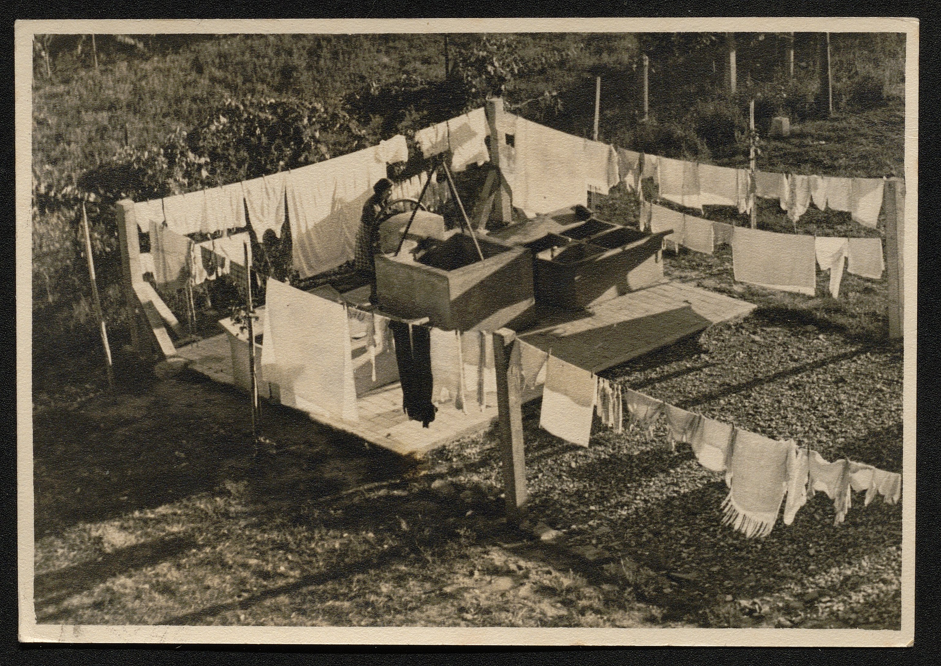 Persone (positivo) di Nencioni, Giosuè (prima metà XX)