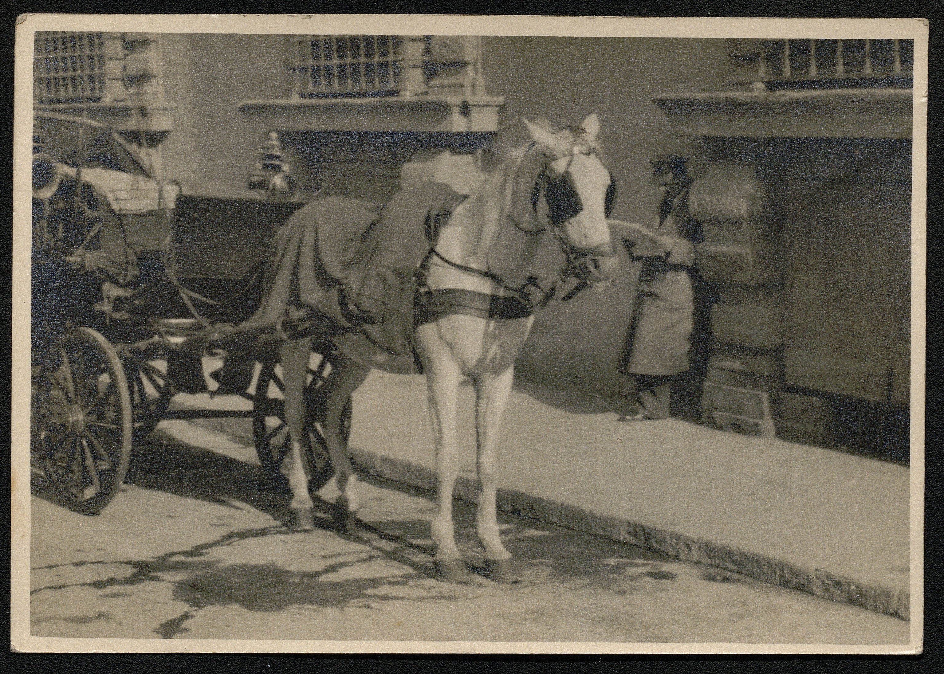 Carrozze a cavalli (positivo) di Danti, Gino (prima metà XX)
