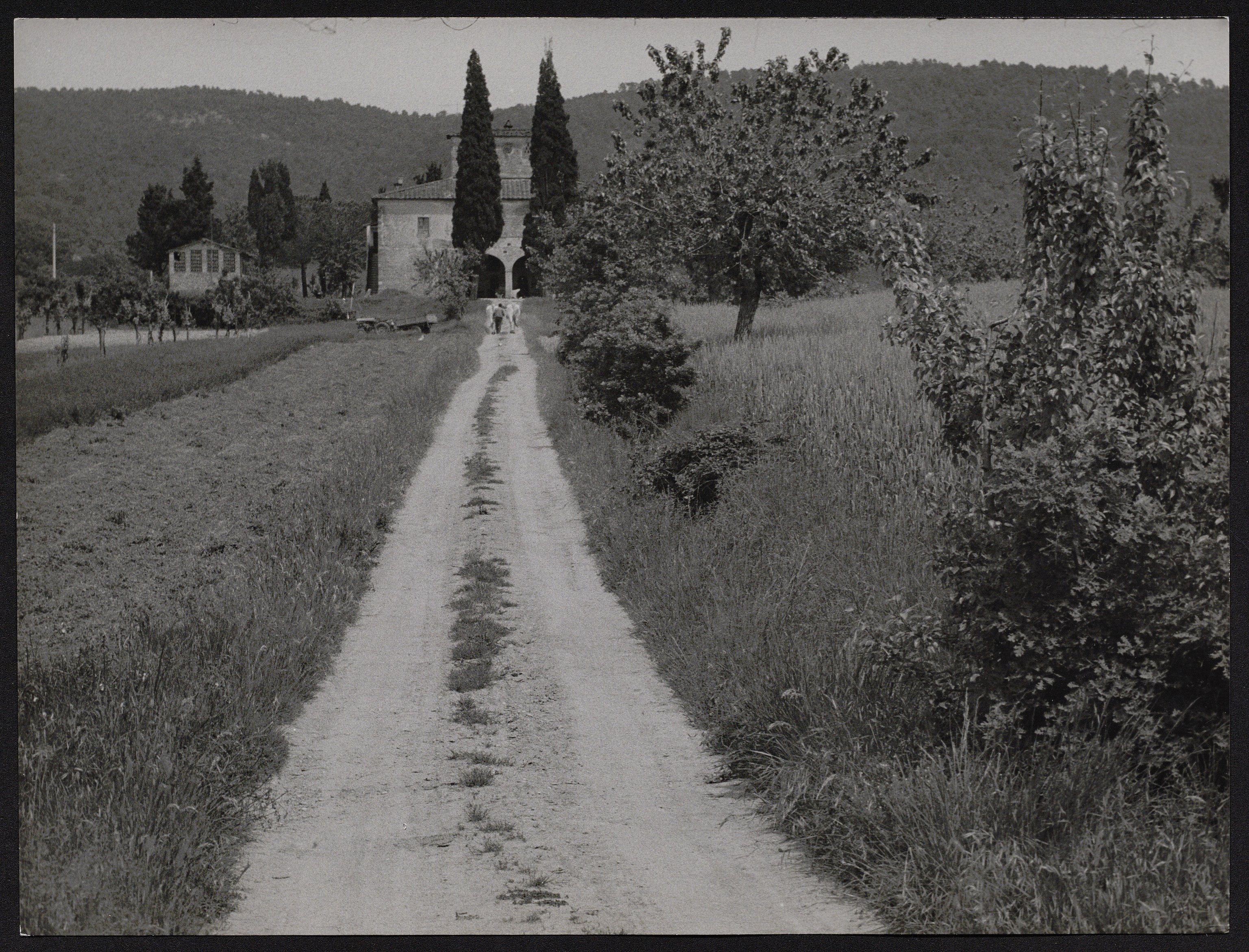 Paesaggio (positivo) di Balocchi, Vincenzo (seconda metà XX)