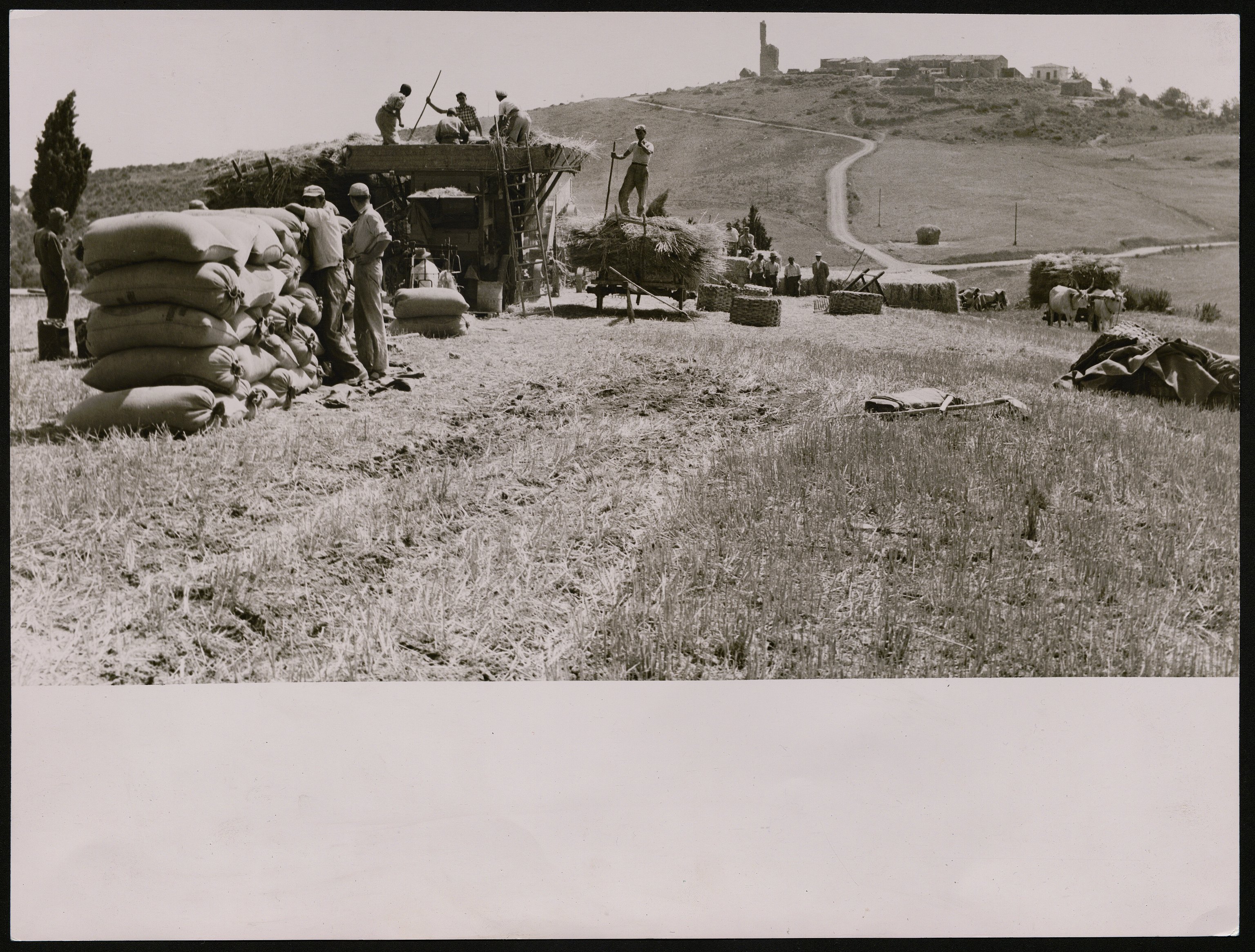 Contadini (positivo) di Balocchi, Vincenzo (seconda metà XX)