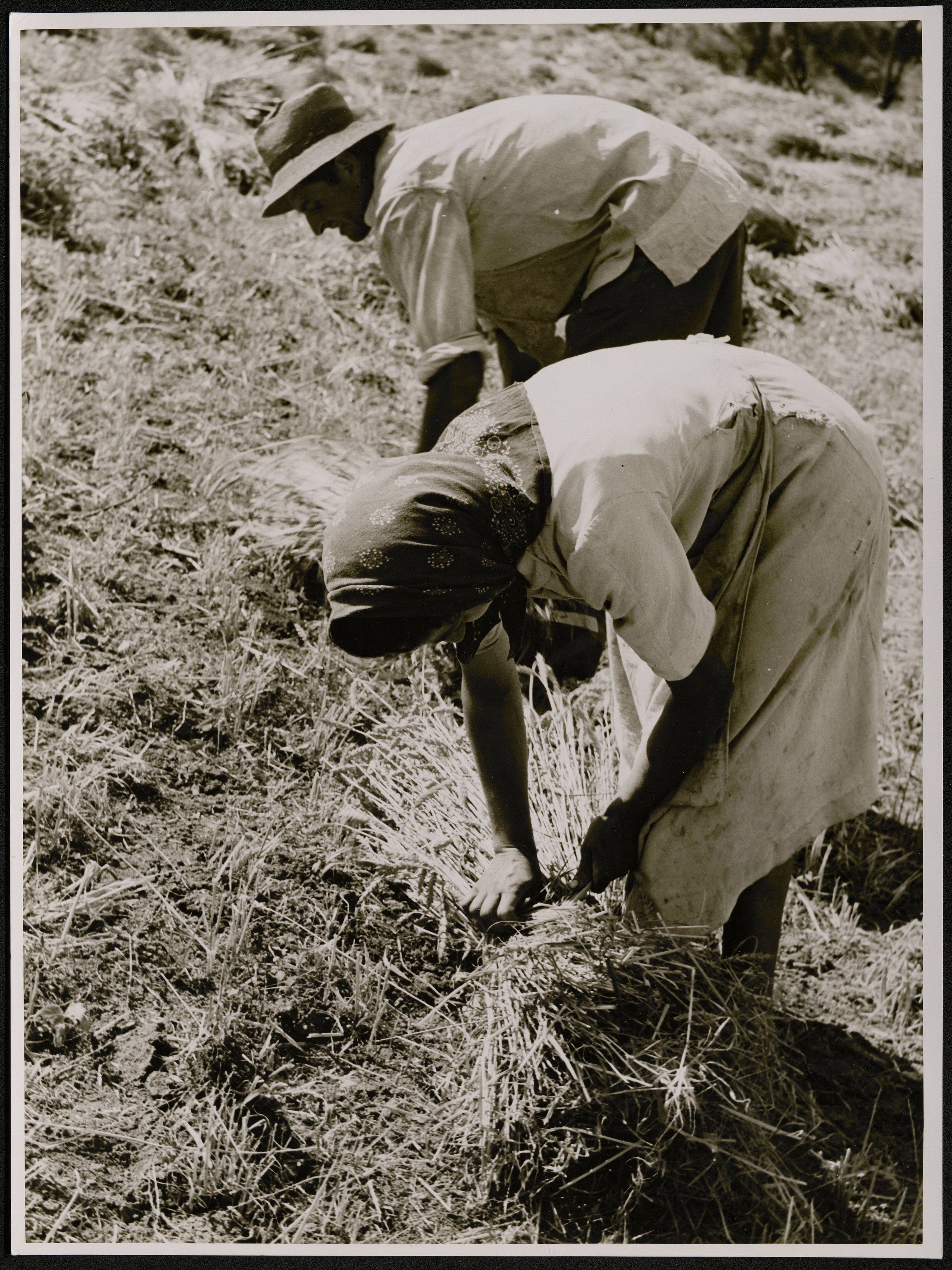 Contadini (positivo) di Balocchi, Vincenzo (prima metà XX)
