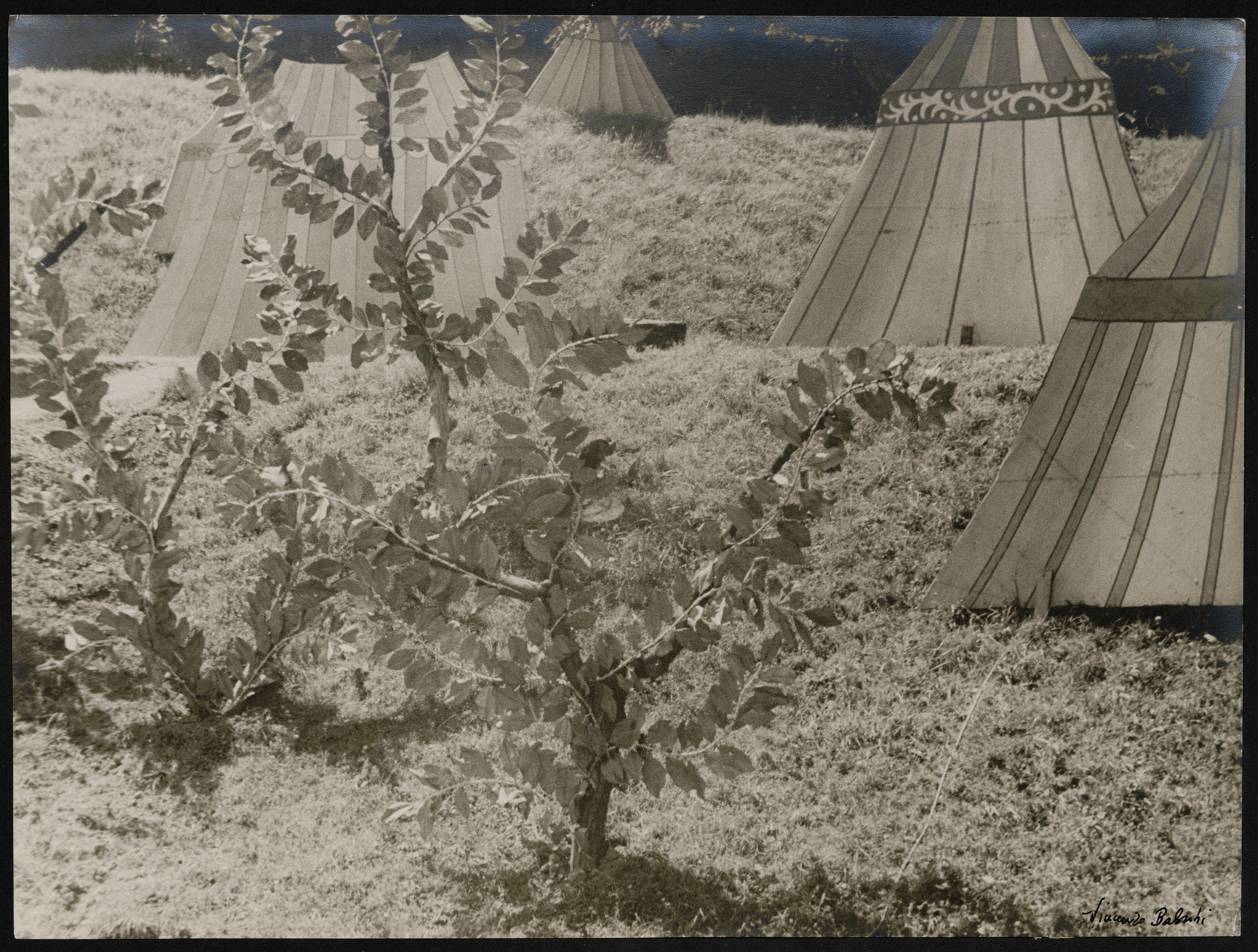 Tende (positivo) di Balocchi, Vincenzo (prima metà XX)