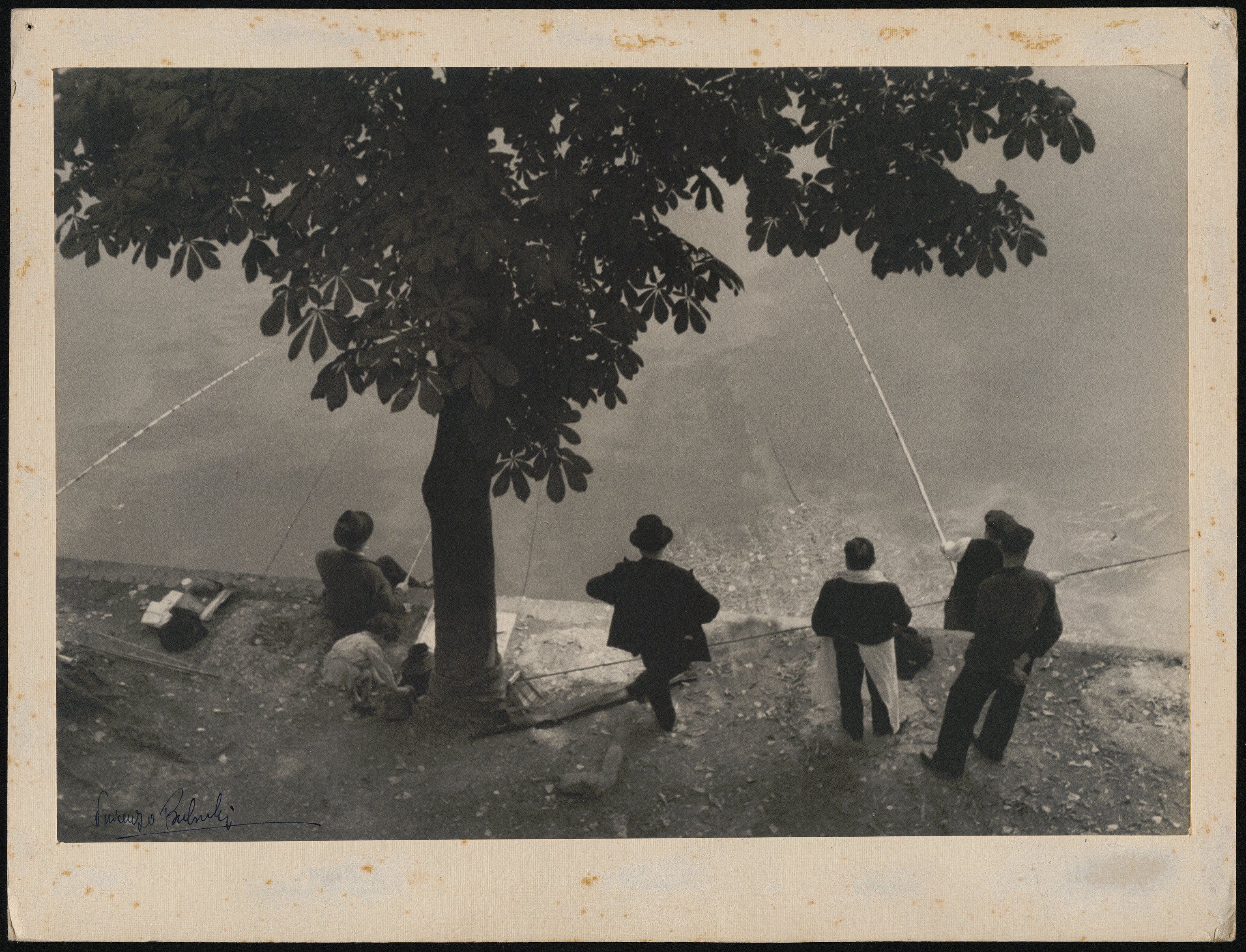 Senna (positivo) di Balocchi, Vincenzo (prima metà XX)