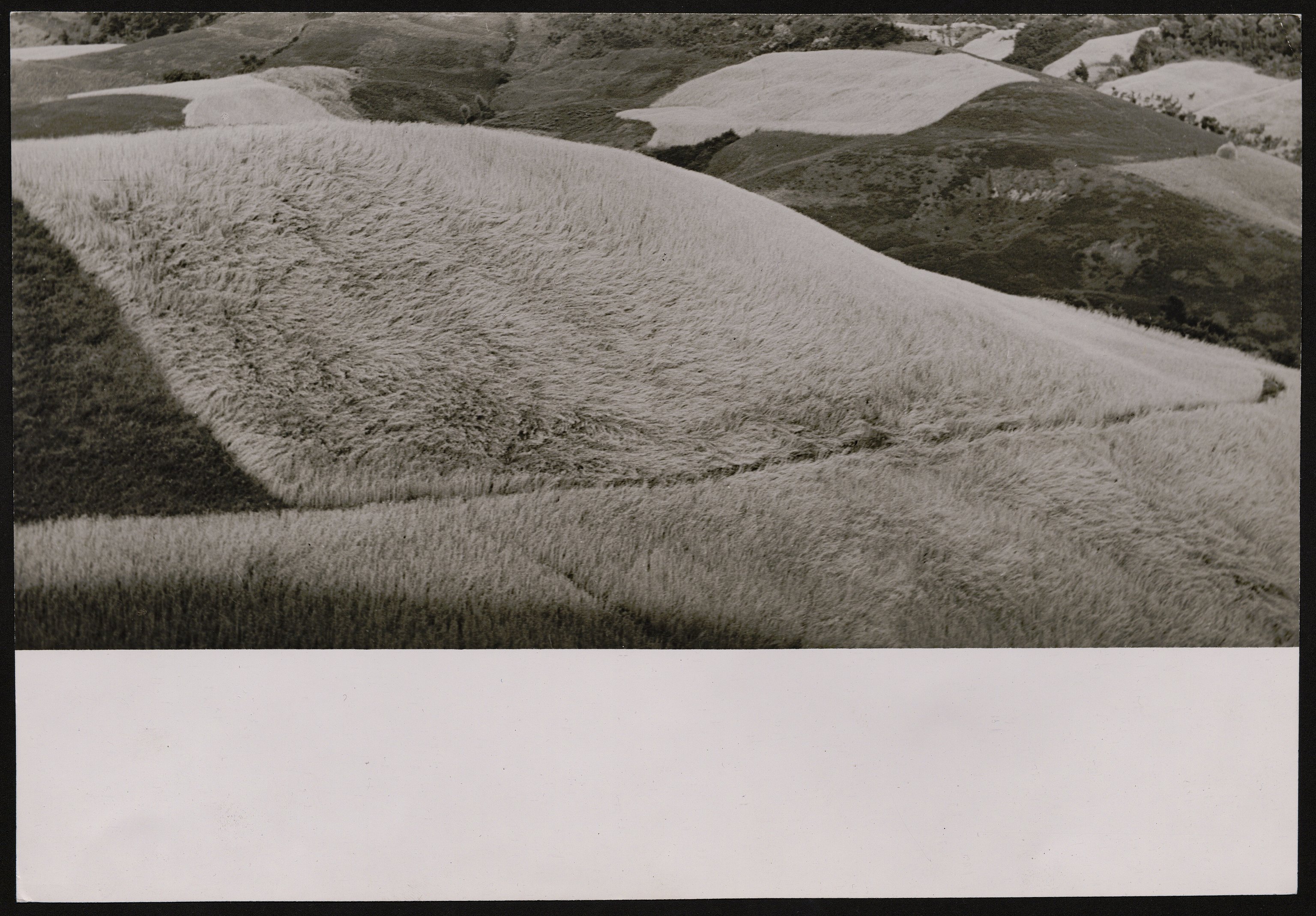 Paesaggio (positivo) di Balocchi, Vincenzo (seconda metà XX)