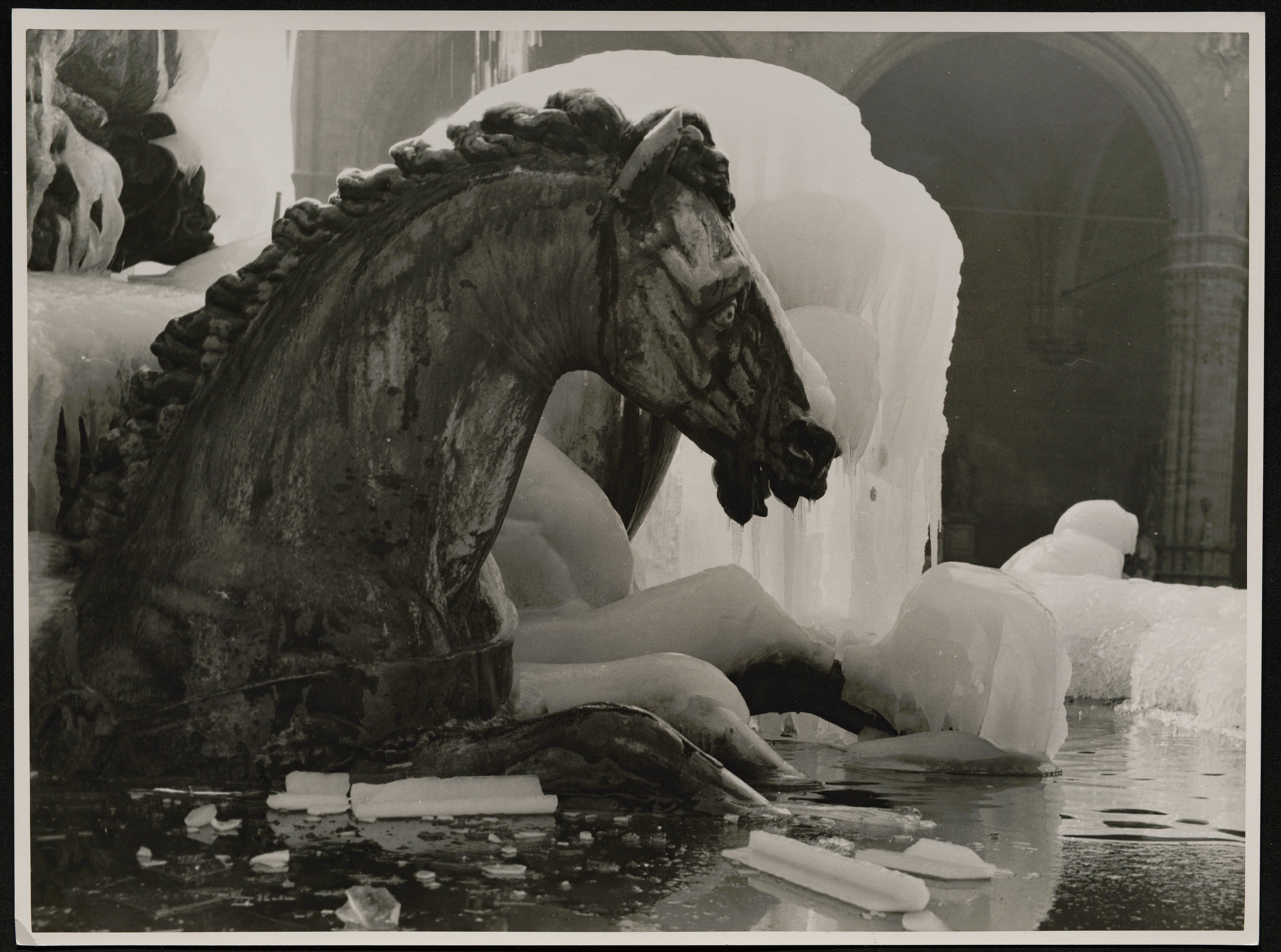 Firenze - Fontana del Nettuno (positivo) di Balocchi, Vincenzo (seconda metà XX)