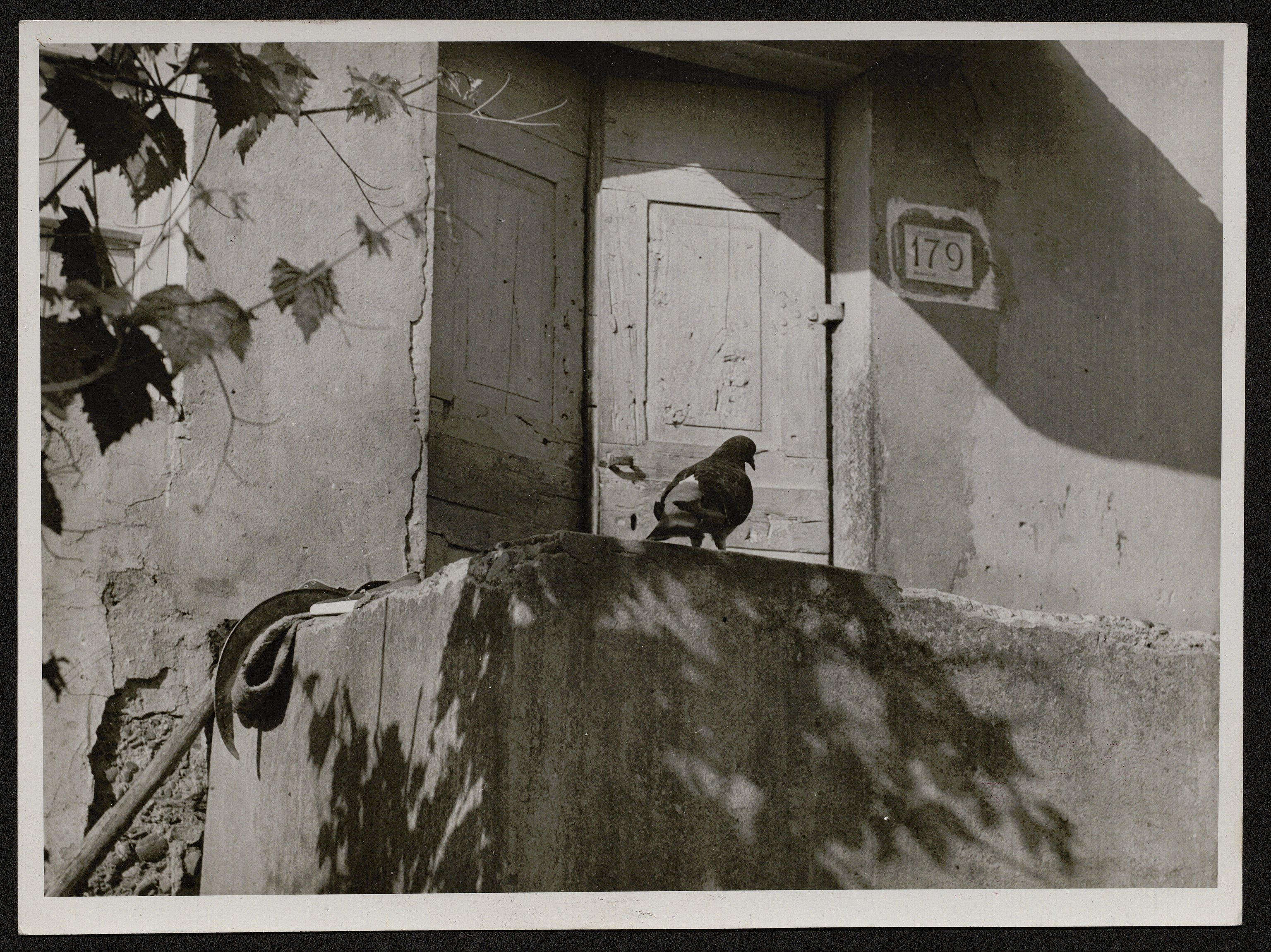 Edifici (positivo) di Balocchi, Vincenzo (seconda metà XX)