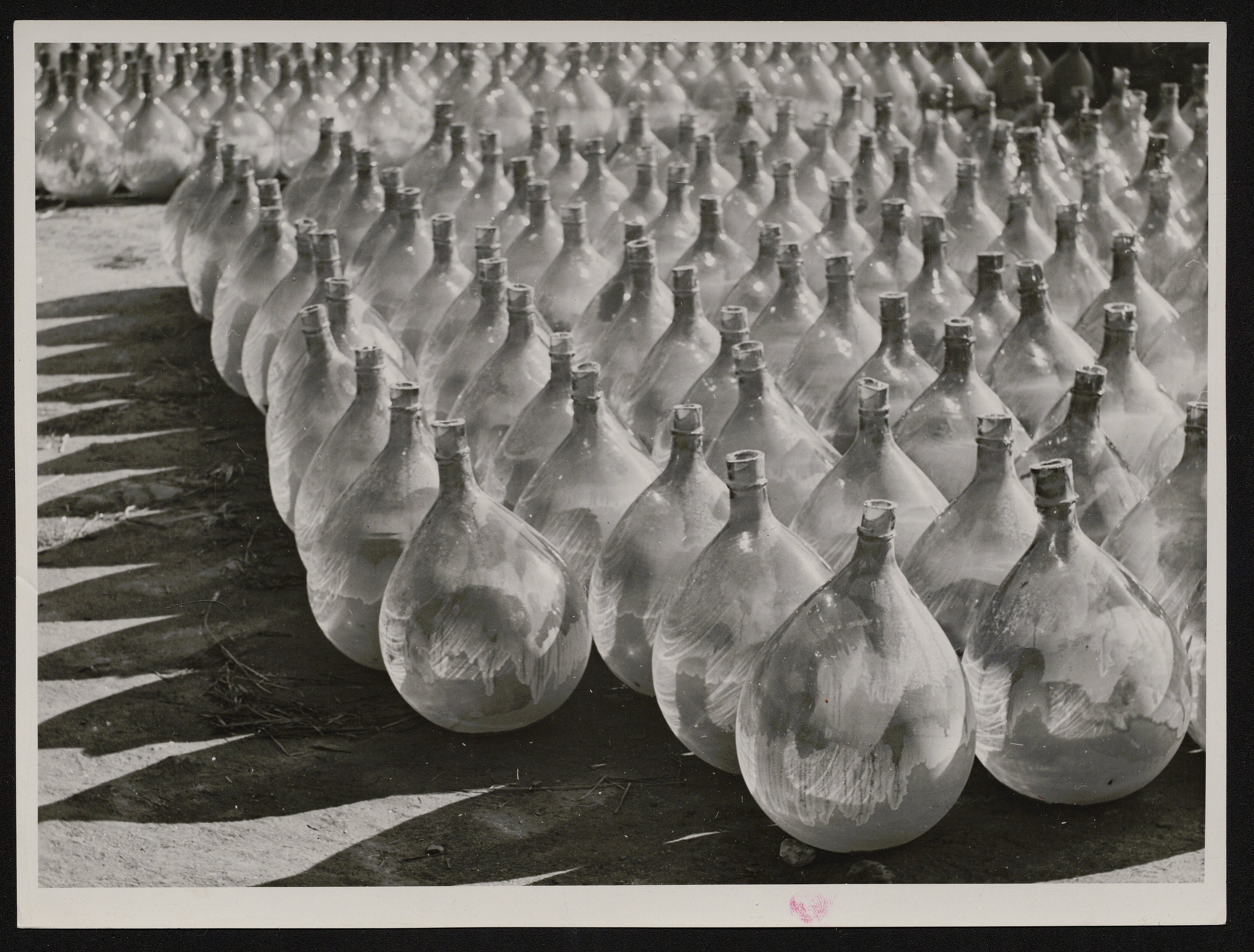 Damigiane (positivo) di Balocchi, Vincenzo (seconda metà XX)