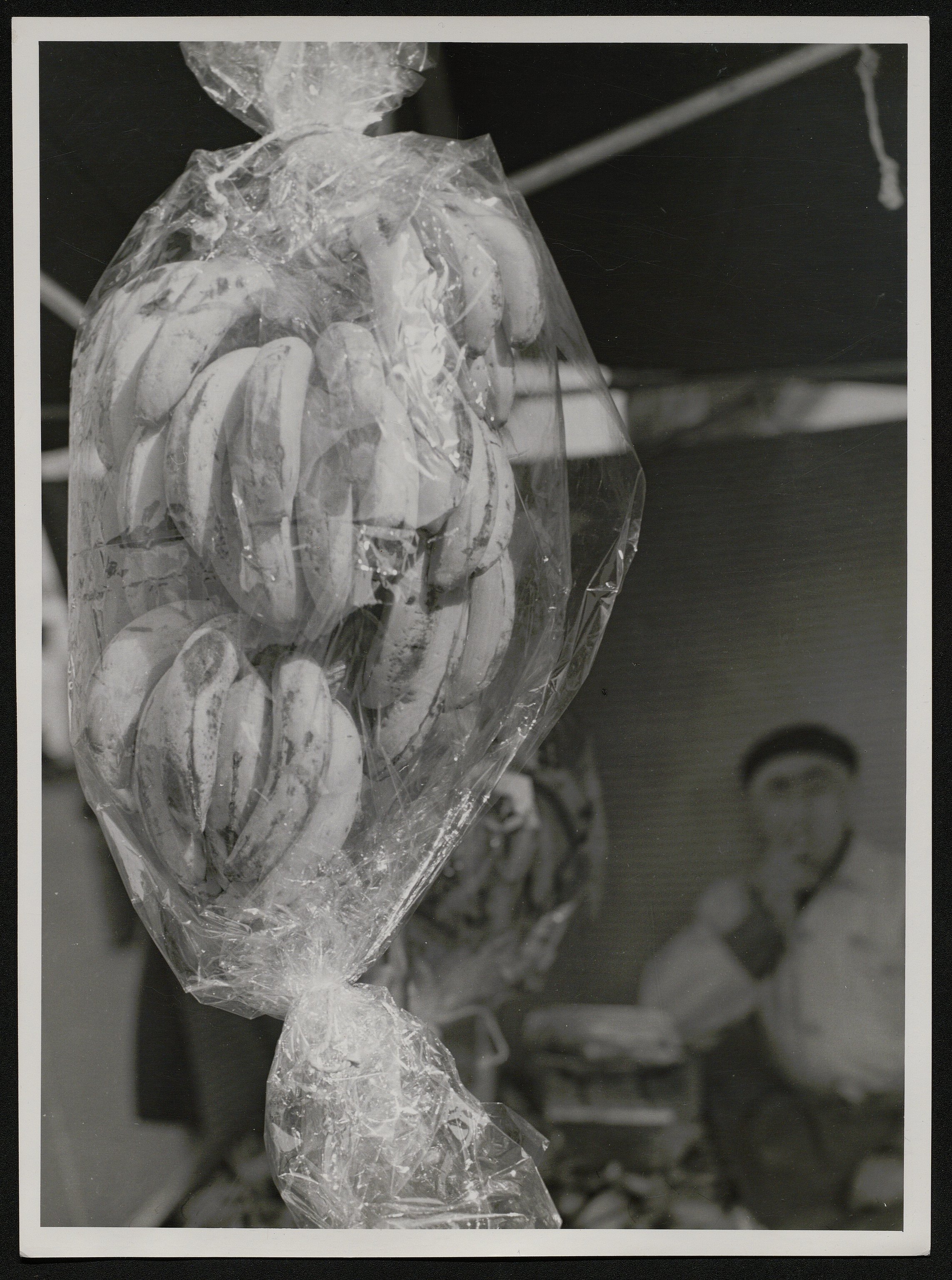 Frutti (positivo) di Balocchi, Vincenzo (seconda metà XX)