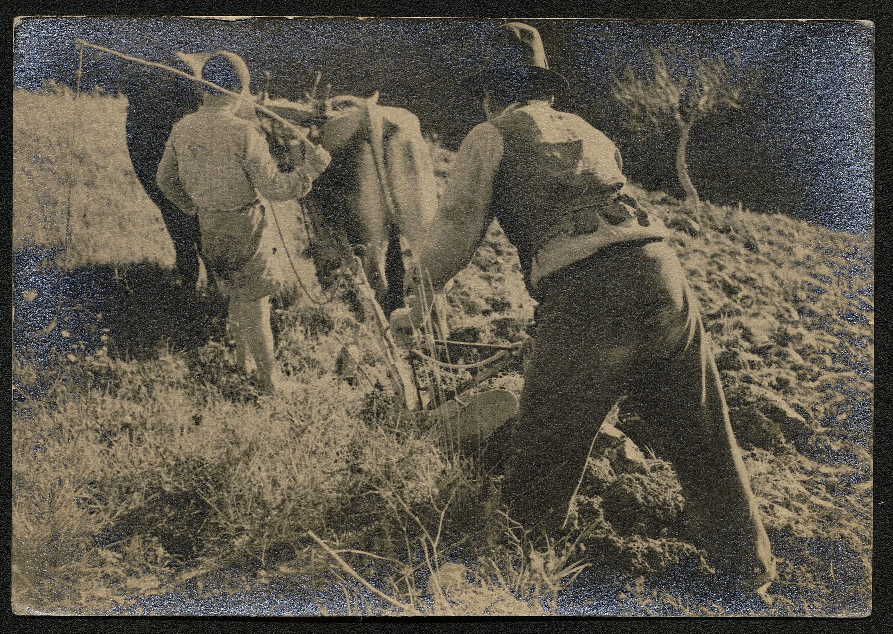 Coltivatori (positivo) di Pachò, Lodovico (prima metà XX)