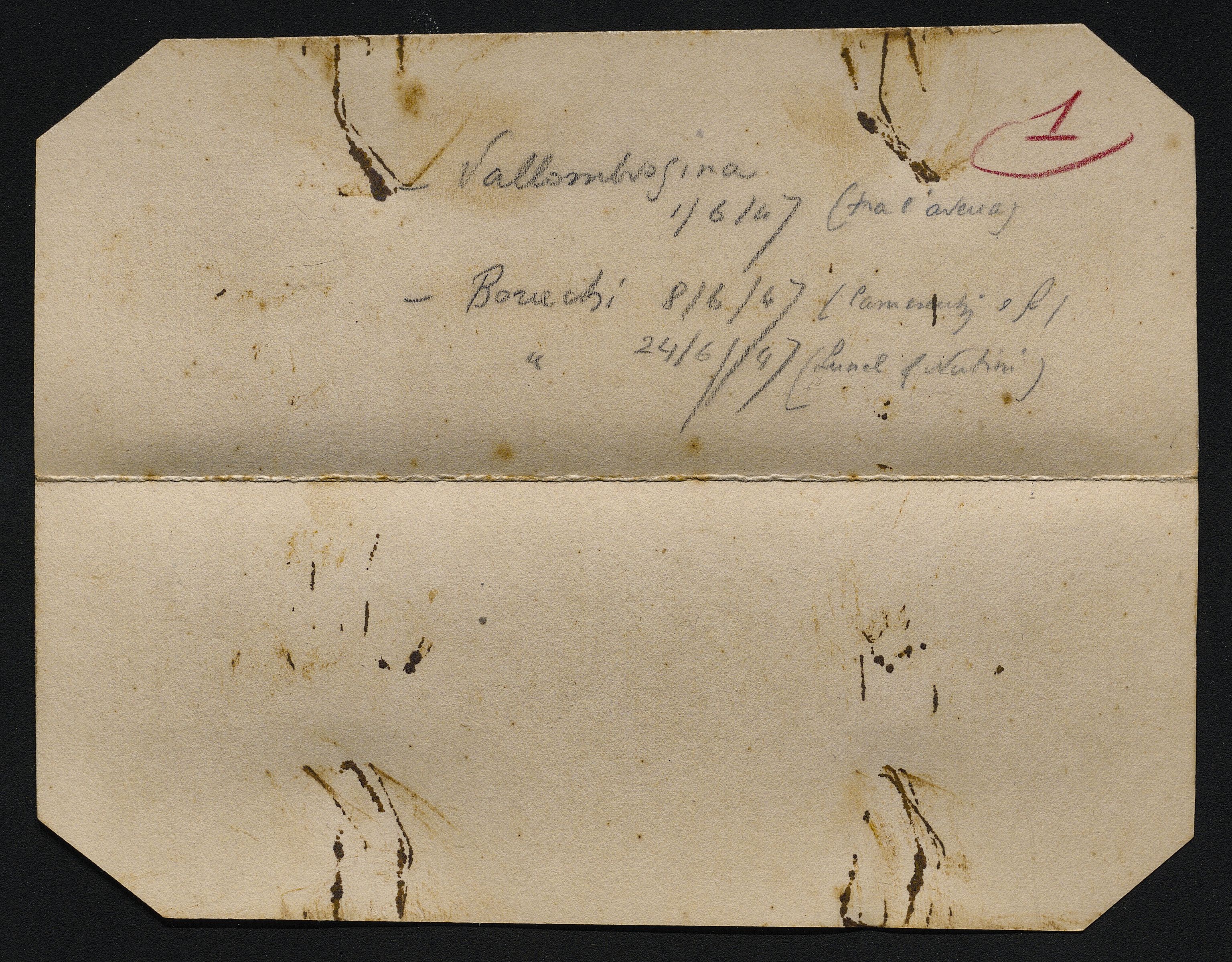 Bustine (vario) di Balocchi, Vincenzo (seconda metà XX)