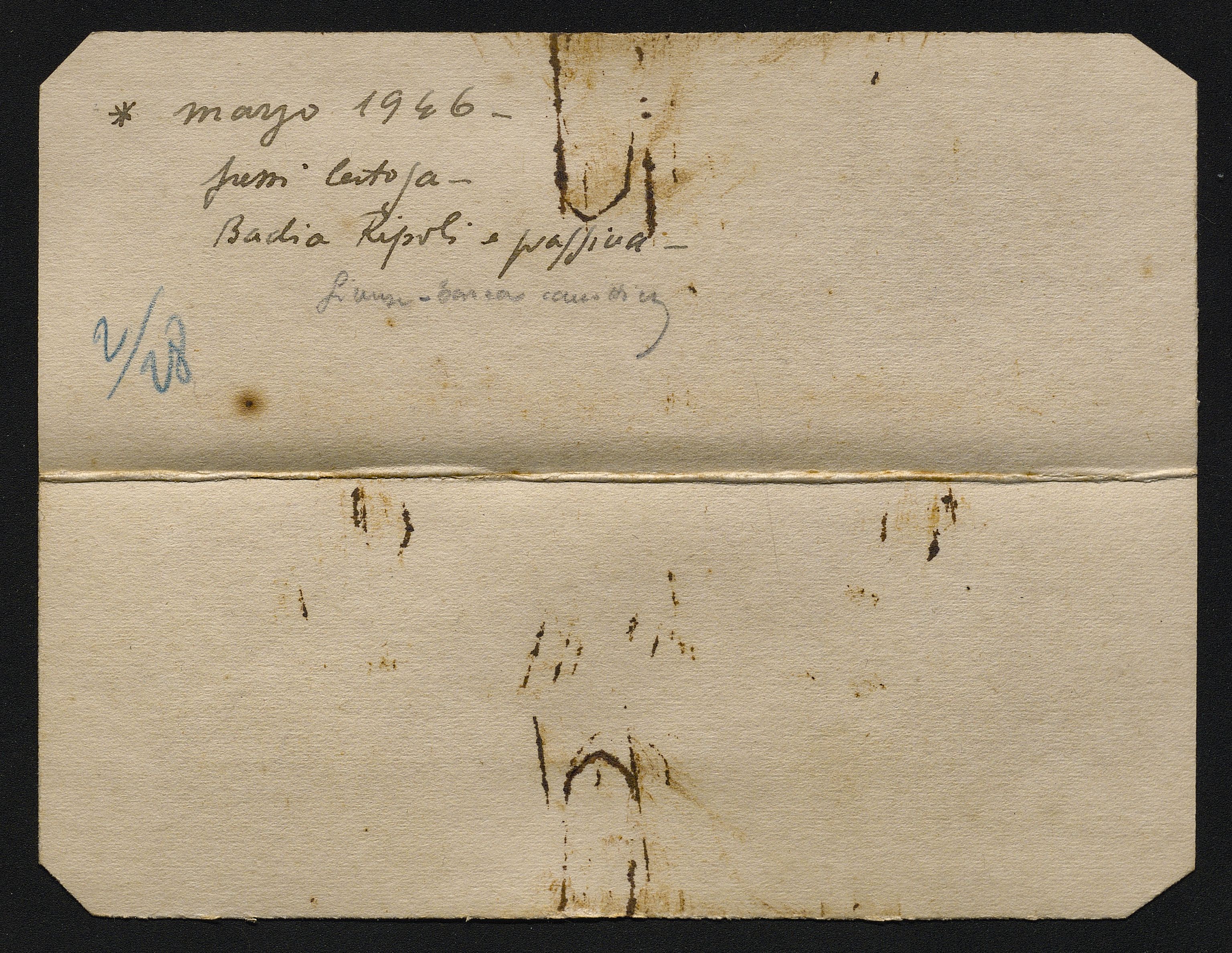 Bustine (vario) di Balocchi, Vincenzo (prima metà XX)