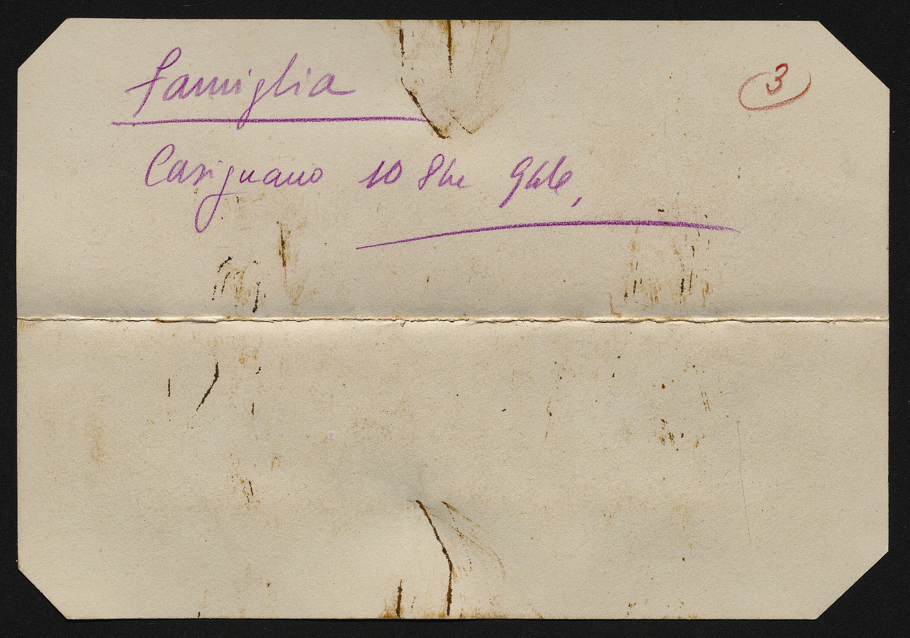 Bustine (vario) di Balocchi, Vincenzo (prima metà XX)