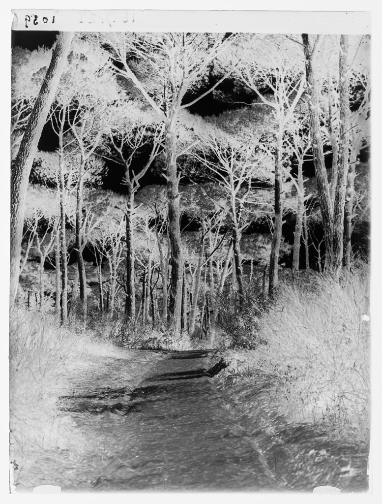 Strade (negativo) di Balocchi, Vincenzo (prima metà XX)