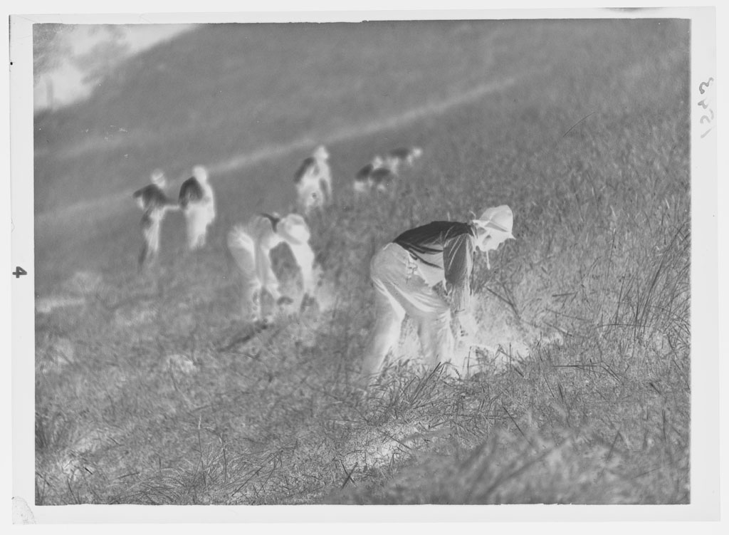 Raccoglitori (negativo) di Balocchi, Vincenzo (prima metà XX)
