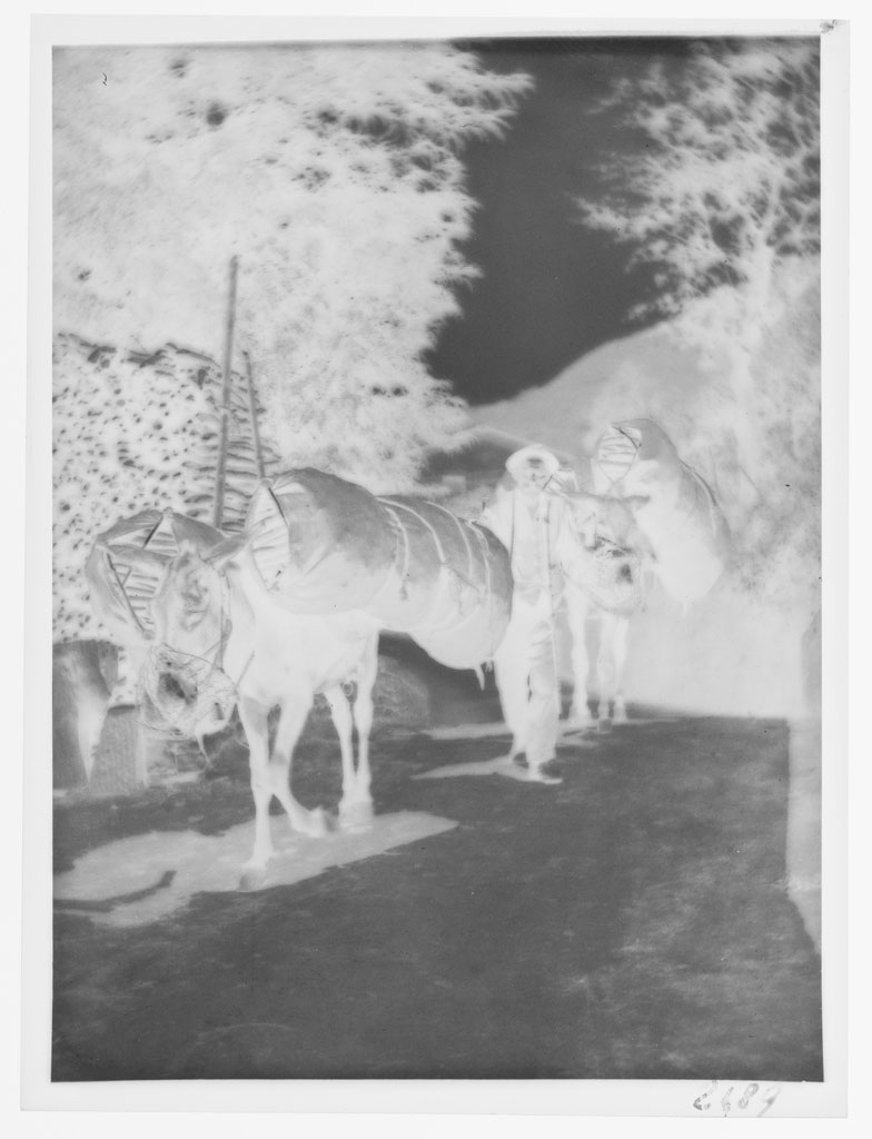 Uomini (negativo) di Balocchi, Vincenzo (prima metà XX)