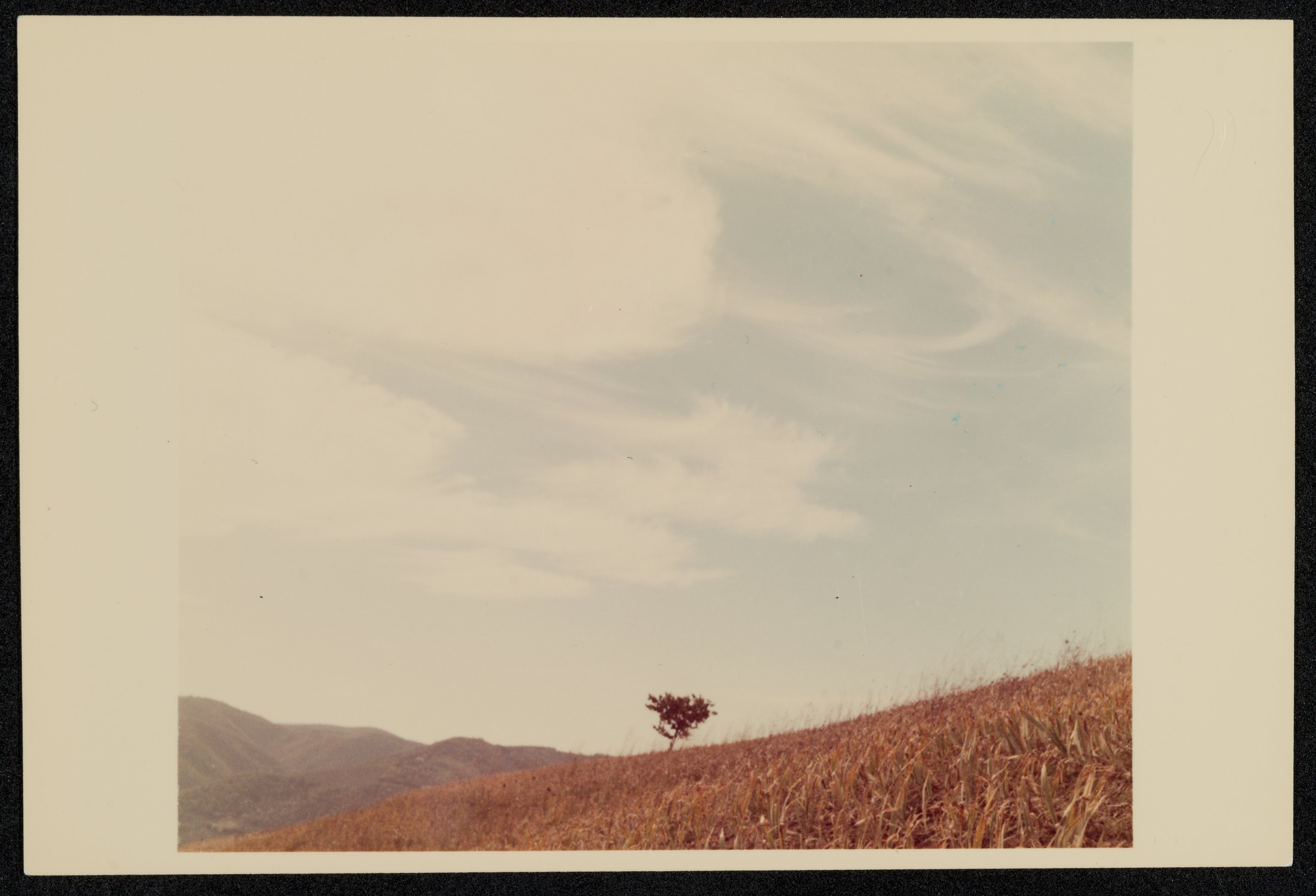 Paesaggi (positivo) di Balocchi, Vincenzo (XX)