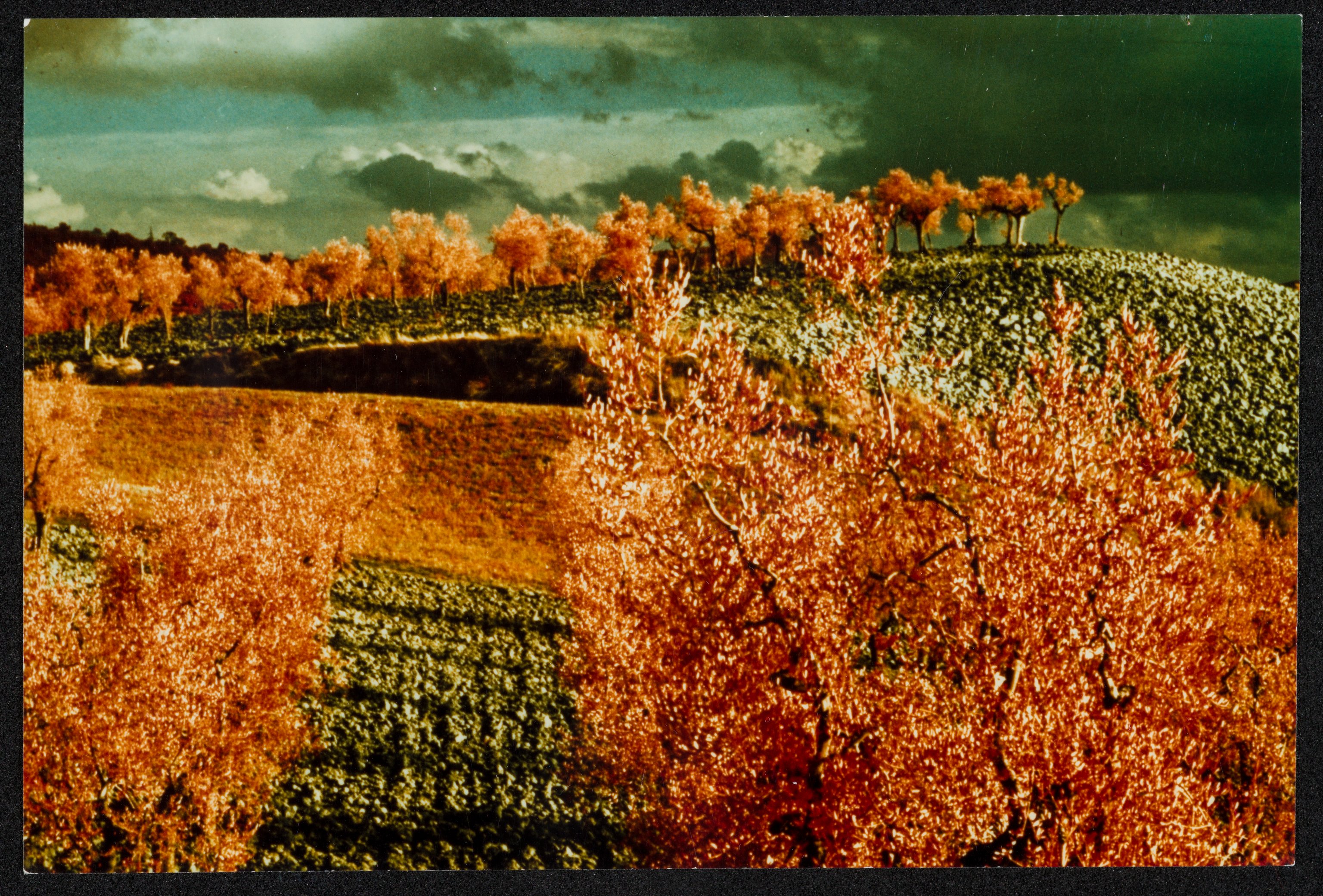 Paesaggi (positivo) di Balocchi, Vincenzo (XX)